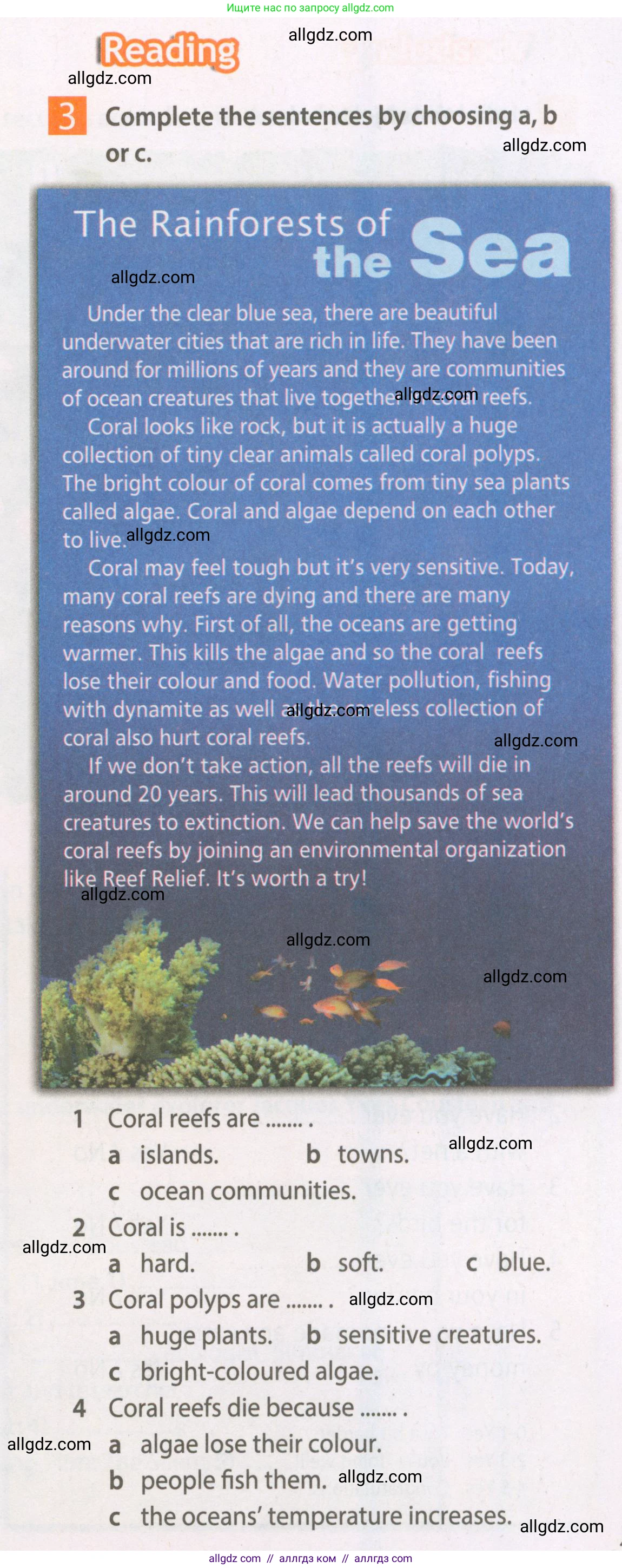 Английский язык (english), 7 класс Рабочая тетрадь (workbook), авторы: Ваулина Юлия Евгеньевна (Vaulina Julia), Дули Дженни (Dooley Jenny), Подоляко Ольга Евгеньевна (Podolyako Olga), Эванс Вирджиния (Evans Virginia), издательство Просвещение, Москва, 2023, красного цвета, страница 47, номер 3, Условие 2023-2027