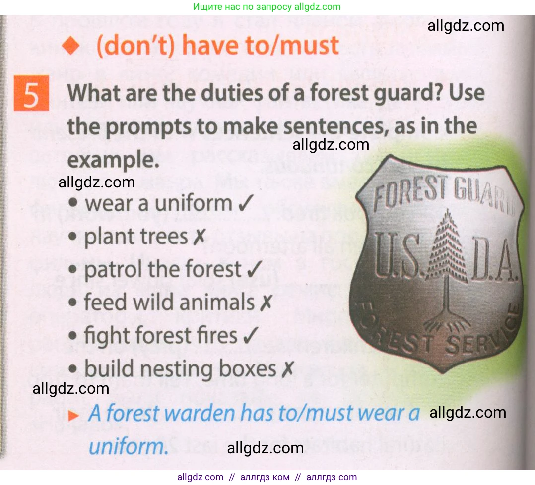 Английский язык (english), 7 класс Рабочая тетрадь (workbook), авторы: Ваулина Юлия Евгеньевна (Vaulina Julia), Дули Дженни (Dooley Jenny), Подоляко Ольга Евгеньевна (Podolyako Olga), Эванс Вирджиния (Evans Virginia), издательство Просвещение, Москва, 2023, красного цвета, страница 48, номер 5, Условие 2023-2027