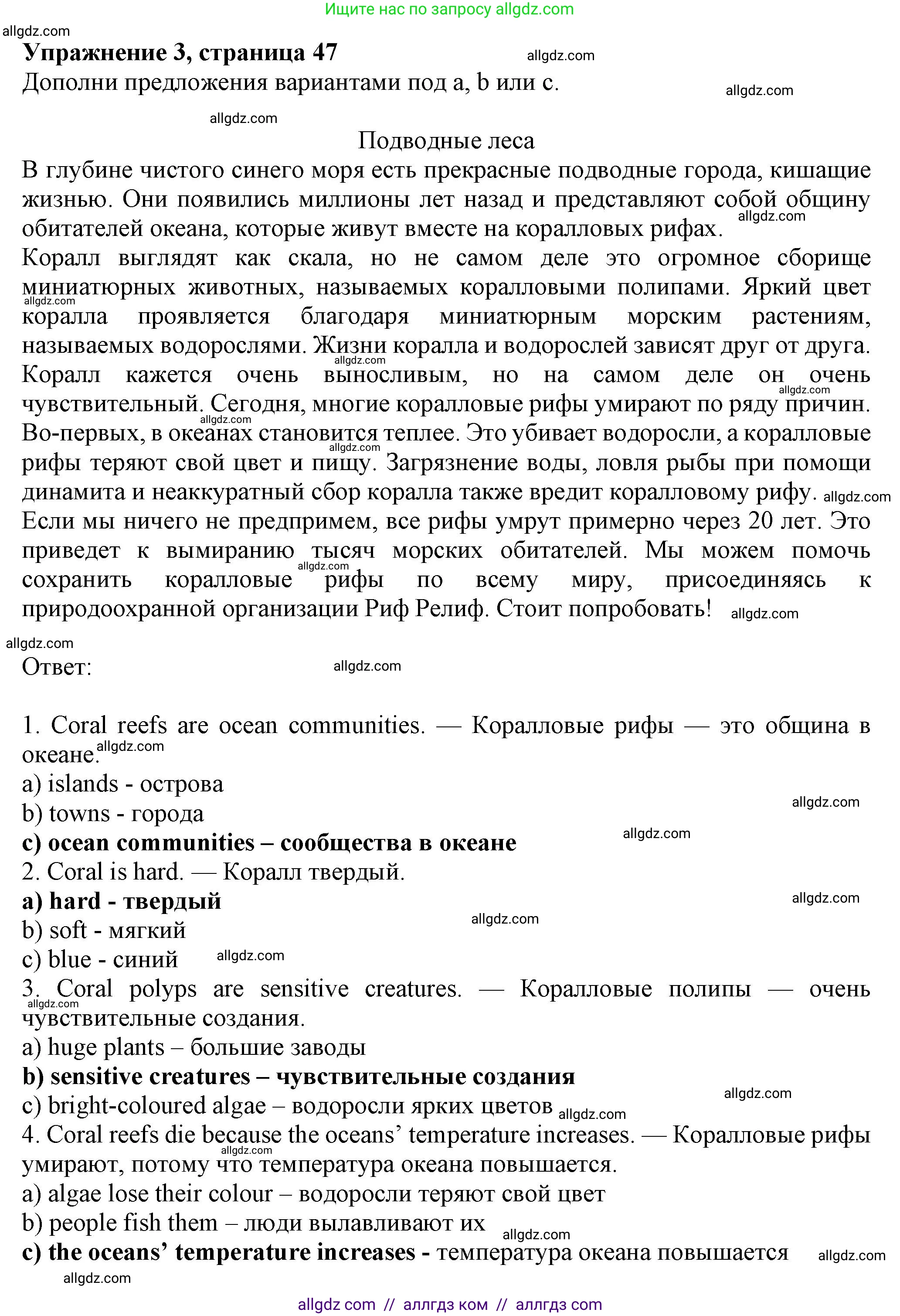 Английский язык (english), 7 класс Рабочая тетрадь (workbook), авторы: Ваулина Юлия Евгеньевна (Vaulina Julia), Дули Дженни (Dooley Jenny), Подоляко Ольга Евгеньевна (Podolyako Olga), Эванс Вирджиния (Evans Virginia), издательство Просвещение, Москва, 2023, красного цвета, страница 47, номер 3, Решение 1 (2023-2027)