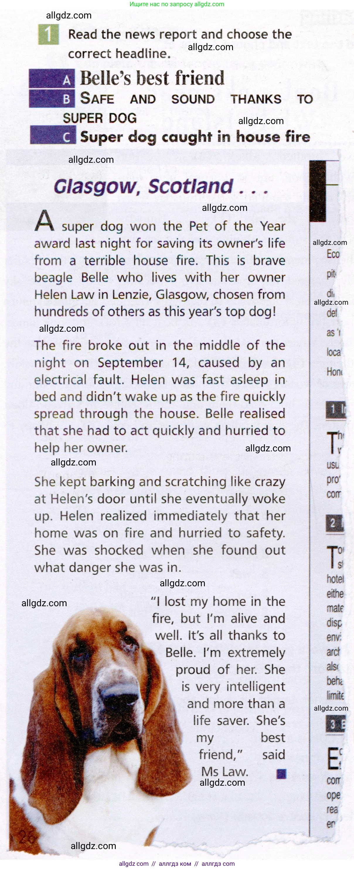 Английский язык (english), 7 класс Рабочая тетрадь (workbook), авторы: Ваулина Юлия Евгеньевна (Vaulina Julia), Дули Дженни (Dooley Jenny), Подоляко Ольга Евгеньевна (Podolyako Olga), Эванс Вирджиния (Evans Virginia), издательство Просвещение, Москва, 2023, красного цвета, страница 26, номер 1, Условие 2019-2022