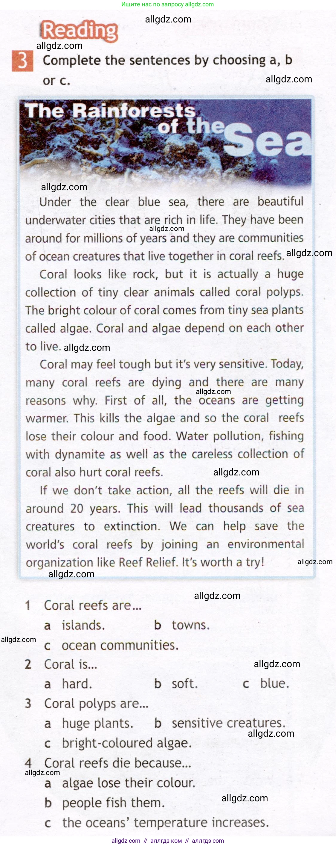 Английский язык (english), 7 класс Рабочая тетрадь (workbook), авторы: Ваулина Юлия Евгеньевна (Vaulina Julia), Дули Дженни (Dooley Jenny), Подоляко Ольга Евгеньевна (Podolyako Olga), Эванс Вирджиния (Evans Virginia), издательство Просвещение, Москва, 2023, красного цвета, страница 47, номер 3, Условие 2019-2022