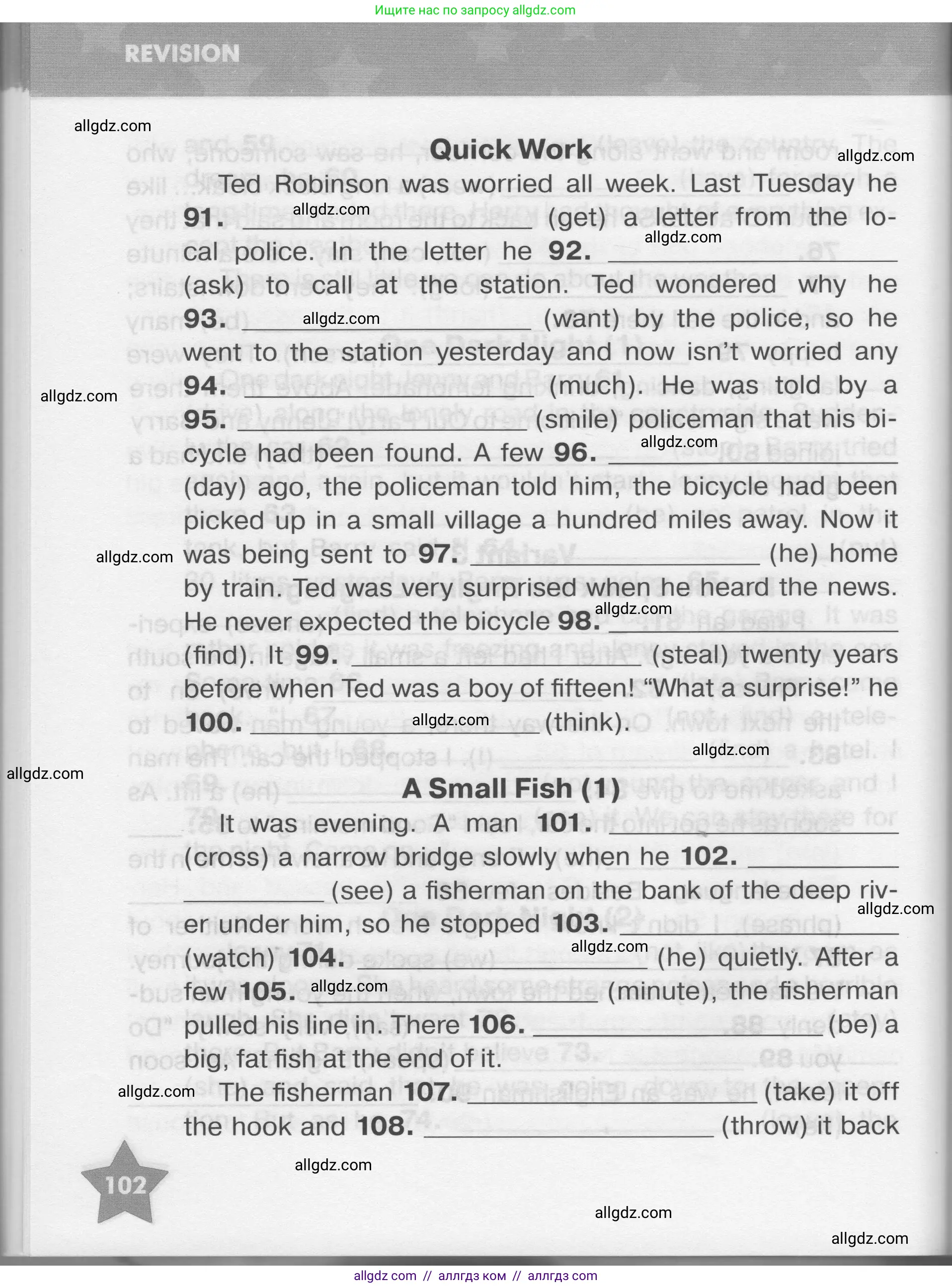 Английский язык (english), 7 класс Тренировочные упражнения в формате ОГЭ (ГИА), авторы: Комиссаров Константин Вячеславович, Кирдяева Ольга Ивановна, издательство Просвещение, Москва, 2019, белого цвета, страница 102