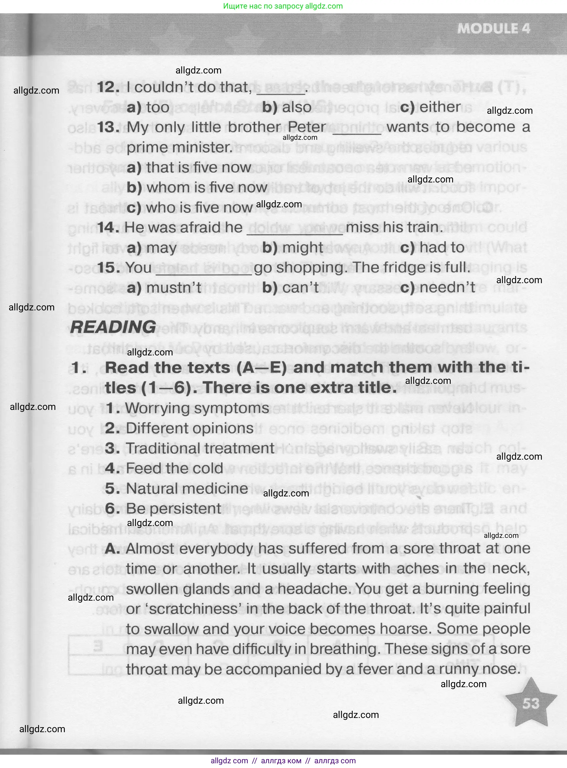 Английский язык (english), 7 класс Тренировочные упражнения в формате ОГЭ (ГИА), авторы: Комиссаров Константин Вячеславович, Кирдяева Ольга Ивановна, издательство Просвещение, Москва, 2019, белого цвета, страница 53