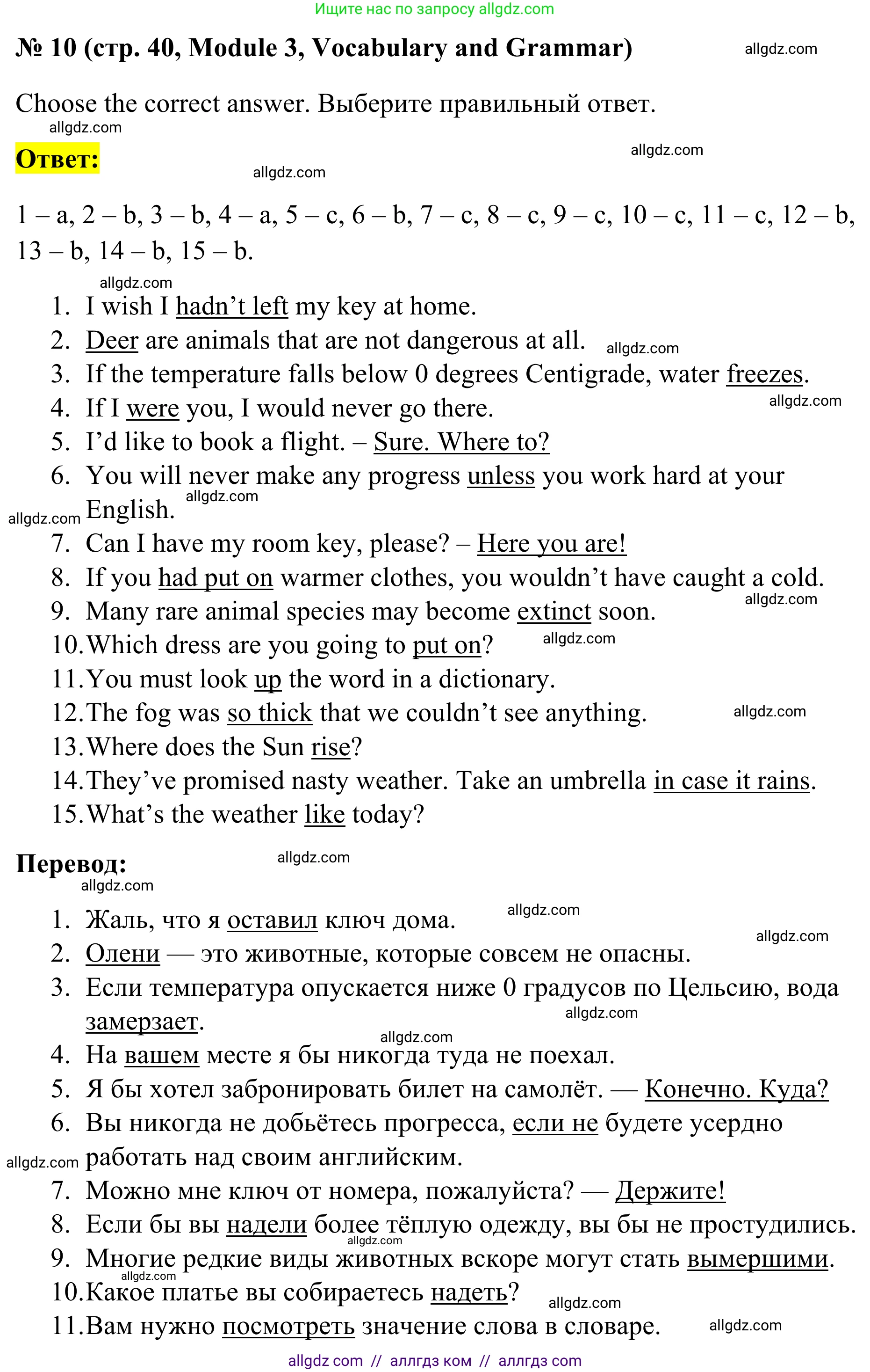 Английский язык (english), 7 класс Тренировочные упражнения в формате ОГЭ (ГИА), авторы: Комиссаров Константин Вячеславович, Кирдяева Ольга Ивановна, издательство Просвещение, Москва, 2019, белого цвета, страница 40, номер 10, Решение 1 (2023-2027)