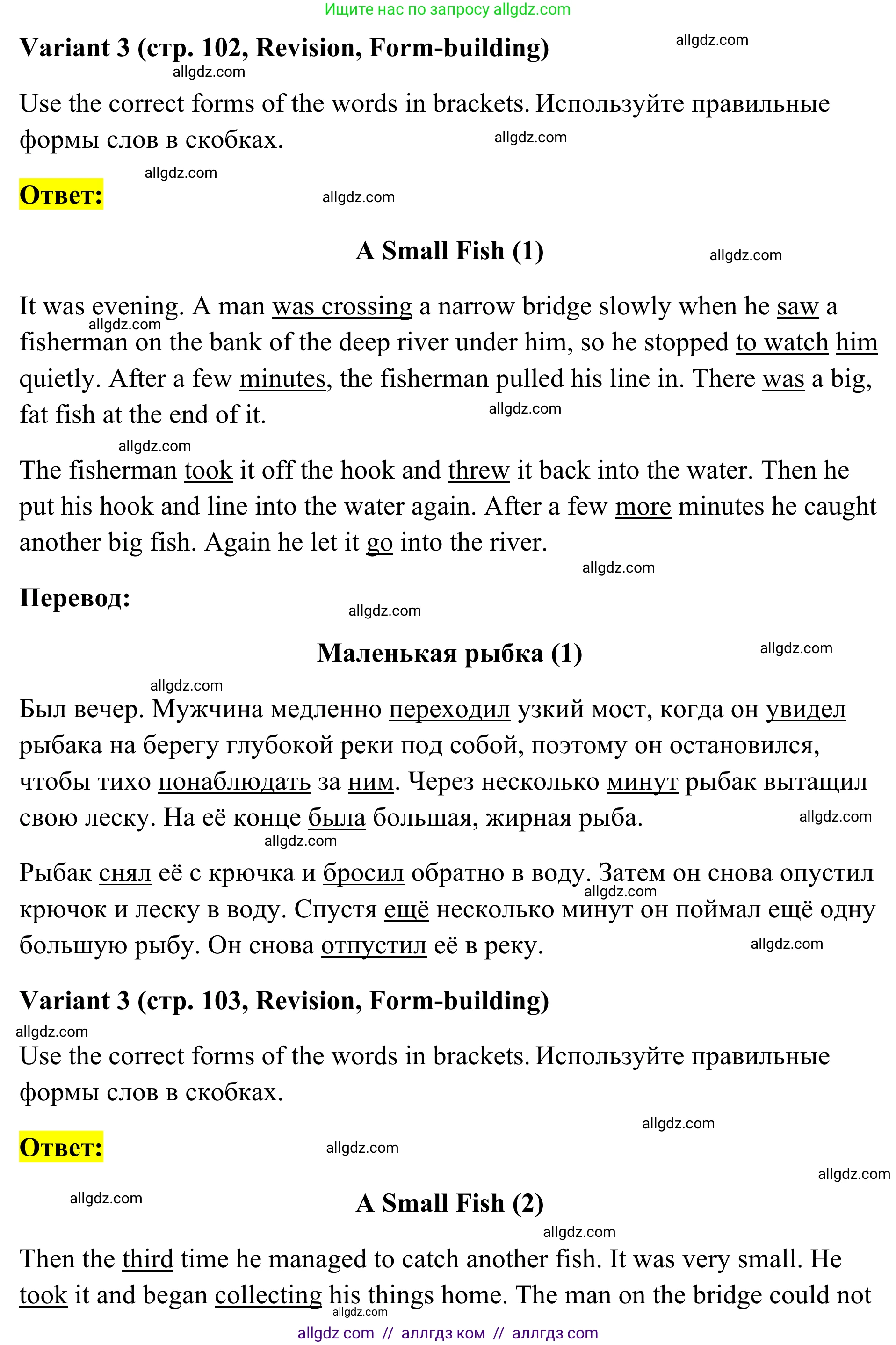 Английский язык (english), 7 класс Тренировочные упражнения в формате ОГЭ (ГИА), авторы: Комиссаров Константин Вячеславович, Кирдяева Ольга Ивановна, издательство Просвещение, Москва, 2019, белого цвета, страница 102, Решение 1 (2023-2027)