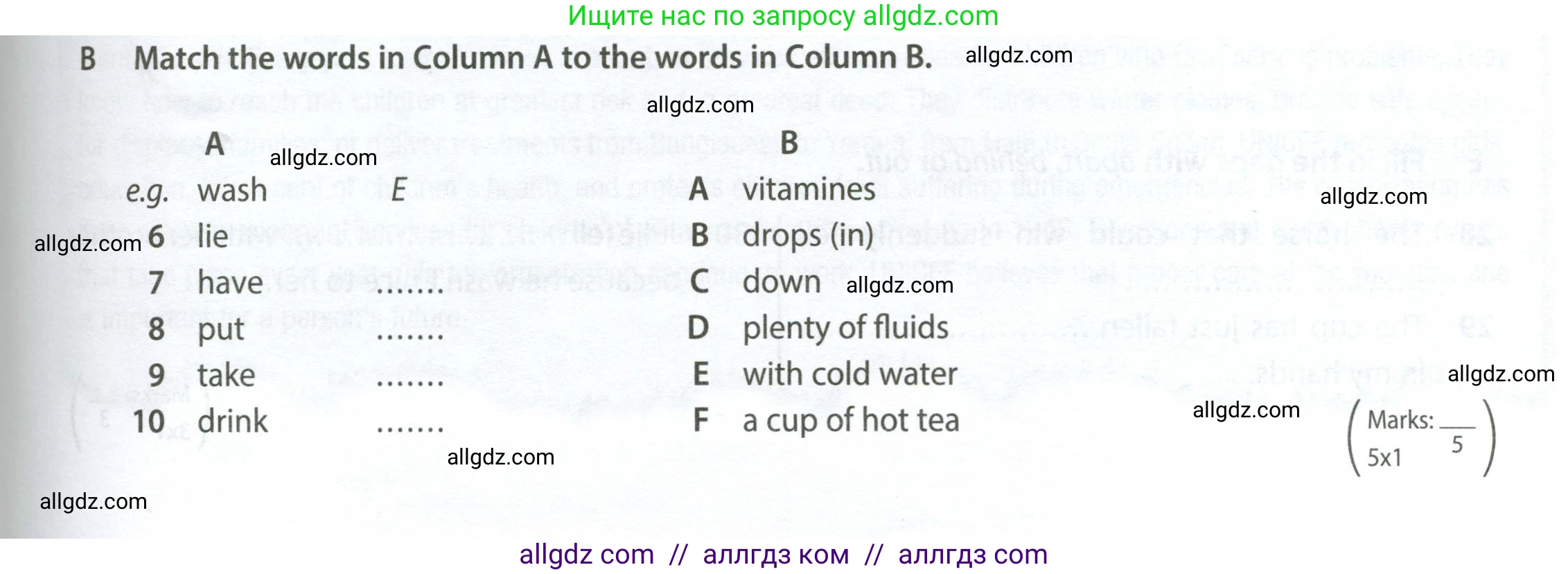 Английский язык (english), 7 класс контрольные задания (test booklet), авторы: Ваулина Юлия Евгеньевна (Vaulina Julia), Дули Дженни (Dooley Jenny), Подоляко Ольга Евгеньевна (Podolyako Olga), Эванс Вирджиния (Evans Virginia), издательство Просвещение, Москва, 2023, розового цвета, страница 85, номер B (6-10), Условие 2023-2027