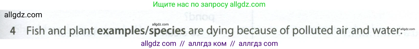 Английский язык (english), 7 класс контрольные задания (test booklet), авторы: Ваулина Юлия Евгеньевна (Vaulina Julia), Дули Дженни (Dooley Jenny), Подоляко Ольга Евгеньевна (Podolyako Olga), Эванс Вирджиния (Evans Virginia), издательство Просвещение, Москва, 2023, розового цвета, страница 113, номер 4, Условие 2023-2027