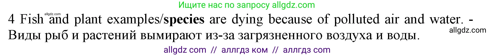 Английский язык (english), 7 класс контрольные задания (test booklet), авторы: Ваулина Юлия Евгеньевна (Vaulina Julia), Дули Дженни (Dooley Jenny), Подоляко Ольга Евгеньевна (Podolyako Olga), Эванс Вирджиния (Evans Virginia), издательство Просвещение, Москва, 2023, розового цвета, страница 113, номер 4, Решение 1 (2023-2027)
