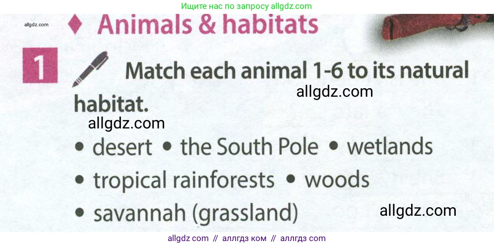 Английский язык (english), 7 класс Учебник (Student's book), авторы: Ваулина Юлия Евгеньевна (Vaulina Julia), Дули Дженни (Dooley Jenny), Подоляко Ольга Евгеньевна (Podolyako Olga), Эванс Вирджиния (Evans Virginia), издательство Просвещение, Москва, 2023, красного цвета, страница 80, номер 1, Условие 2023-2027