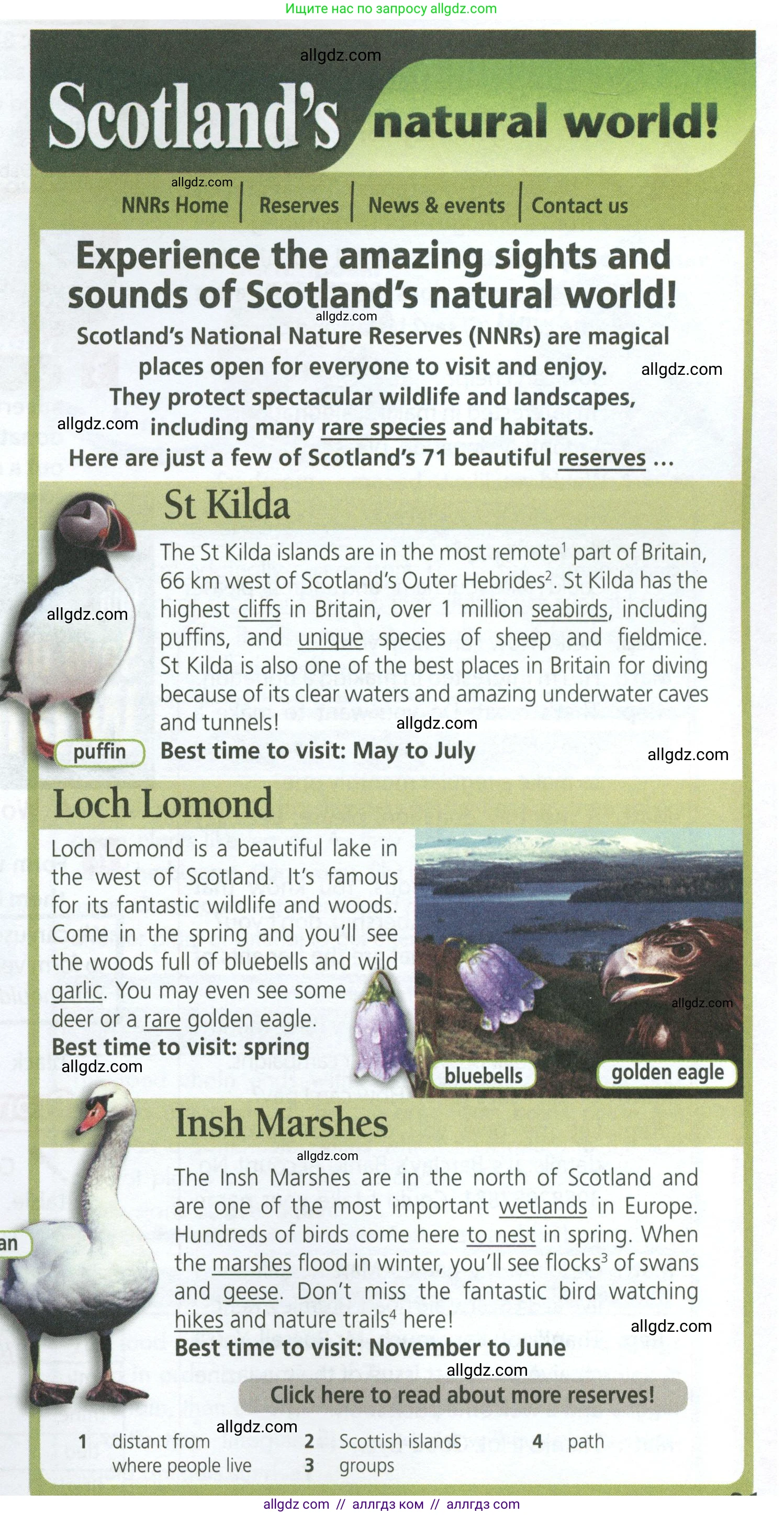 Английский язык (english), 7 класс Учебник (Student's book), авторы: Ваулина Юлия Евгеньевна (Vaulina Julia), Дули Дженни (Dooley Jenny), Подоляко Ольга Евгеньевна (Podolyako Olga), Эванс Вирджиния (Evans Virginia), издательство Просвещение, Москва, 2023, красного цвета, страница 81, номер 1, Условие 2023-2027 (продолжение 2)