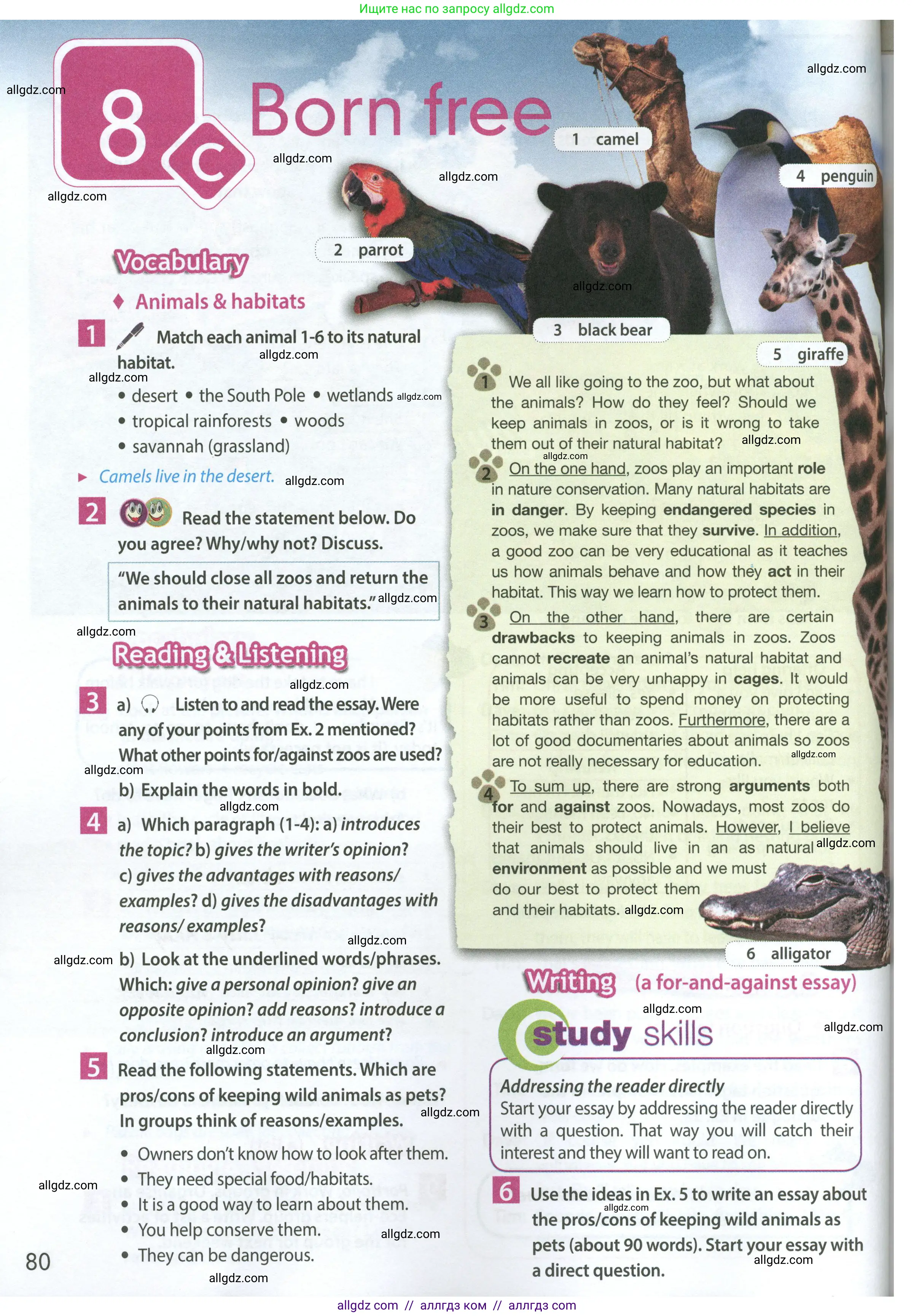 Английский язык (english), 7 класс Учебник (Student's book), авторы: Ваулина Юлия Евгеньевна (Vaulina Julia), Дули Дженни (Dooley Jenny), Подоляко Ольга Евгеньевна (Podolyako Olga), Эванс Вирджиния (Evans Virginia), издательство Просвещение, Москва, 2023, красного цвета, страница 80