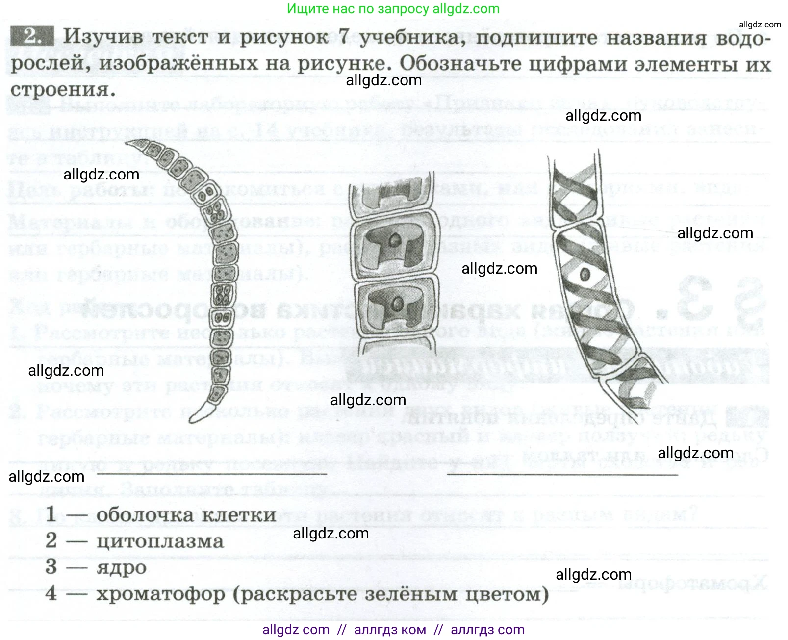 Биология, 7 класс рабочая тетрадь, авторы: Пасечник Владимир Васильевич, Суматохин Сергей Витальевич, Швецов Глеб Геннадьевич, Гапонюк Зоя Георгиевна, Косарькова Марина Викторовна, издательство Просвещение, Москва, 2023, бирюзового цвета, страница 10, номер 2, Условие