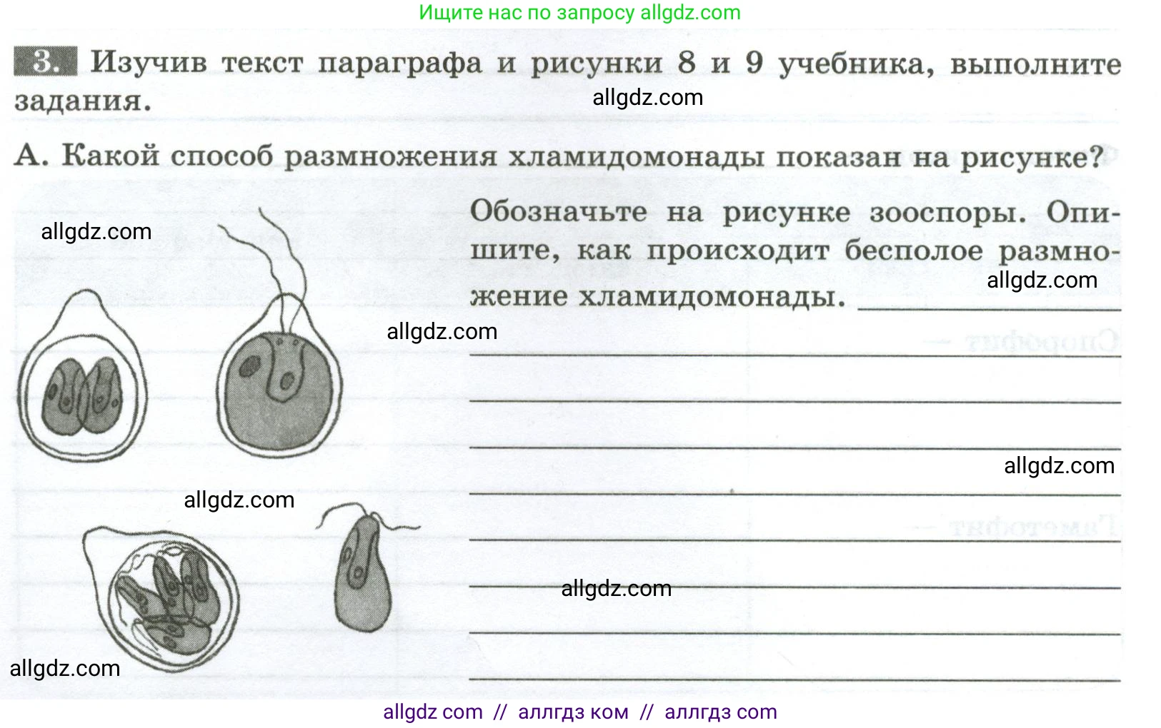 Биология, 7 класс рабочая тетрадь, авторы: Пасечник Владимир Васильевич, Суматохин Сергей Витальевич, Швецов Глеб Геннадьевич, Гапонюк Зоя Георгиевна, Косарькова Марина Викторовна, издательство Просвещение, Москва, 2023, бирюзового цвета, страница 10, номер 3, Условие