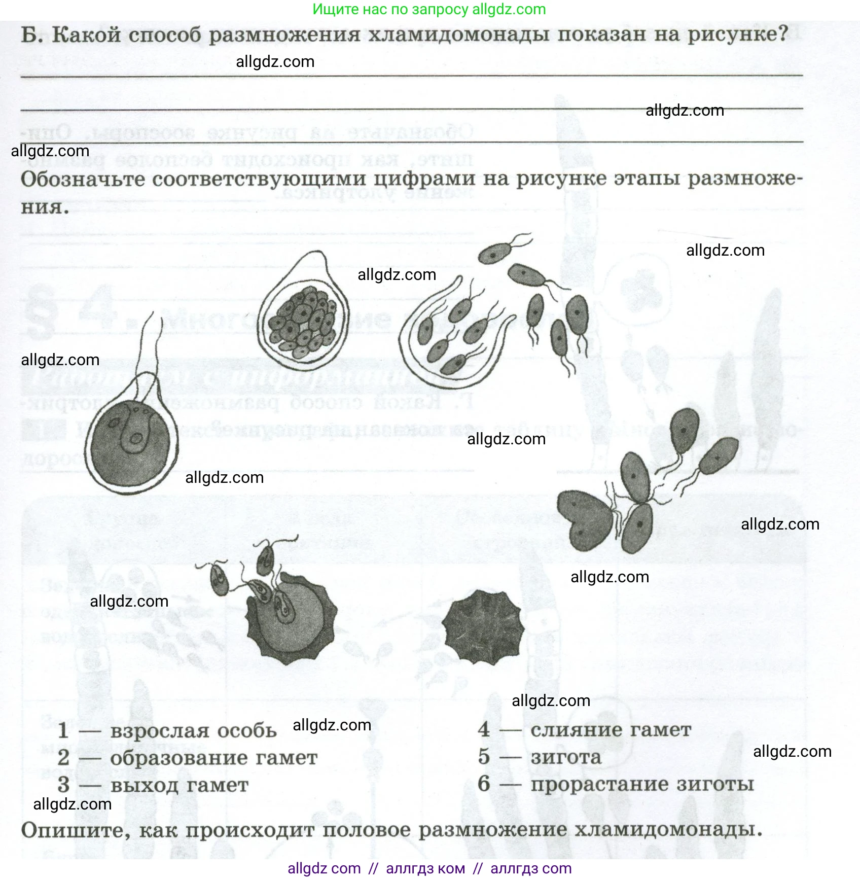 Биология, 7 класс рабочая тетрадь, авторы: Пасечник Владимир Васильевич, Суматохин Сергей Витальевич, Швецов Глеб Геннадьевич, Гапонюк Зоя Георгиевна, Косарькова Марина Викторовна, издательство Просвещение, Москва, 2023, бирюзового цвета, страница 10, номер 3, Условие (продолжение 2)