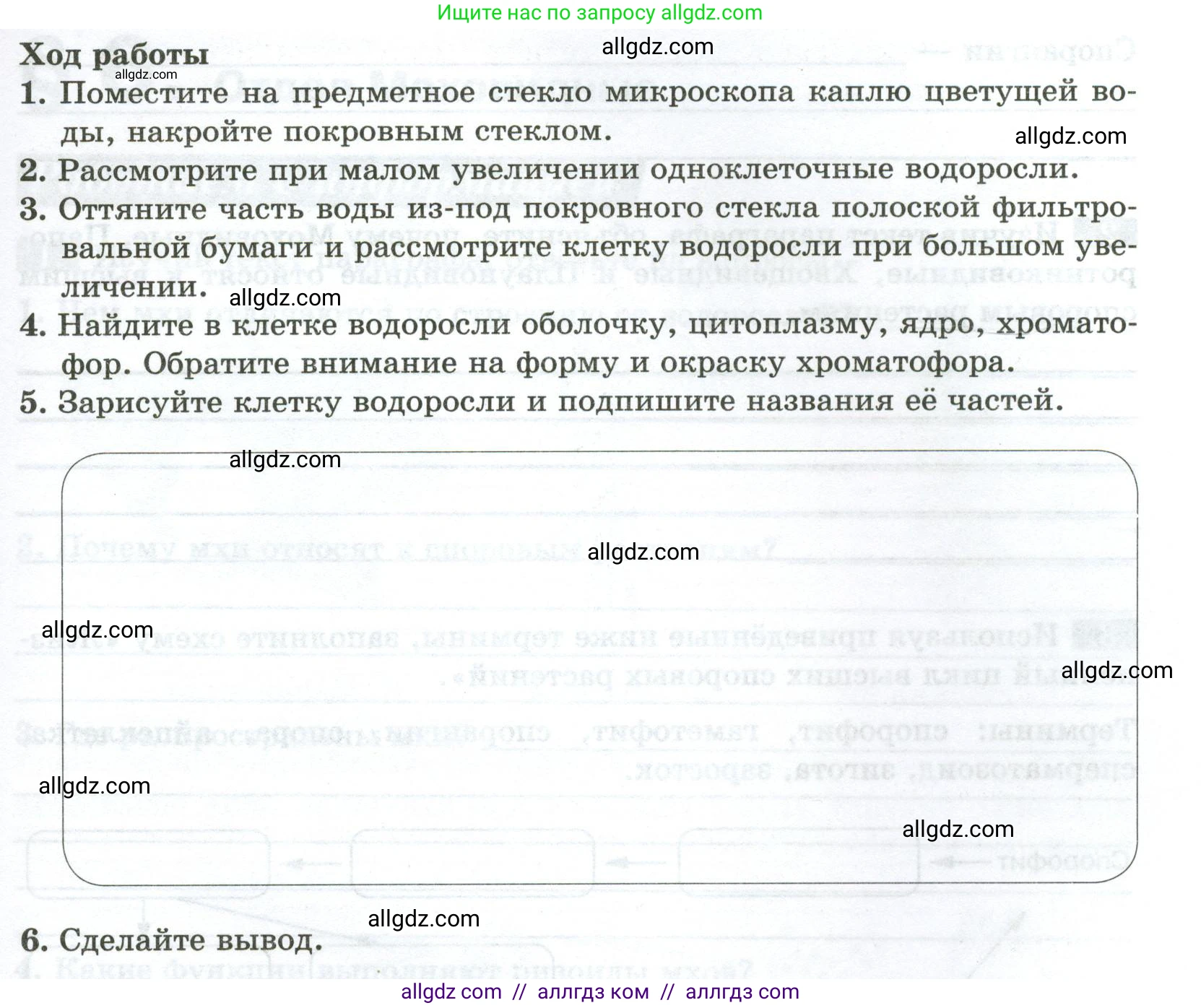 Биология, 7 класс рабочая тетрадь, авторы: Пасечник Владимир Васильевич, Суматохин Сергей Витальевич, Швецов Глеб Геннадьевич, Гапонюк Зоя Георгиевна, Косарькова Марина Викторовна, издательство Просвещение, Москва, 2023, бирюзового цвета, страница 14, номер 4, Условие (продолжение 2)