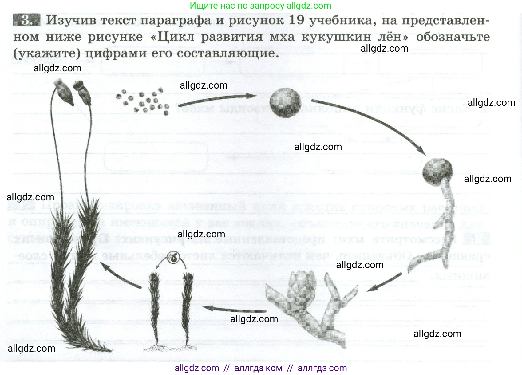 Биология, 7 класс рабочая тетрадь, авторы: Пасечник Владимир Васильевич, Суматохин Сергей Витальевич, Швецов Глеб Геннадьевич, Гапонюк Зоя Георгиевна, Косарькова Марина Викторовна, издательство Просвещение, Москва, 2023, бирюзового цвета, страница 18, номер 3, Условие