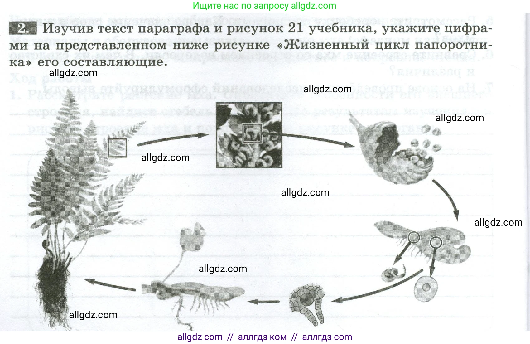 Биология, 7 класс рабочая тетрадь, авторы: Пасечник Владимир Васильевич, Суматохин Сергей Витальевич, Швецов Глеб Геннадьевич, Гапонюк Зоя Георгиевна, Косарькова Марина Викторовна, издательство Просвещение, Москва, 2023, бирюзового цвета, страница 22, номер 2, Условие
