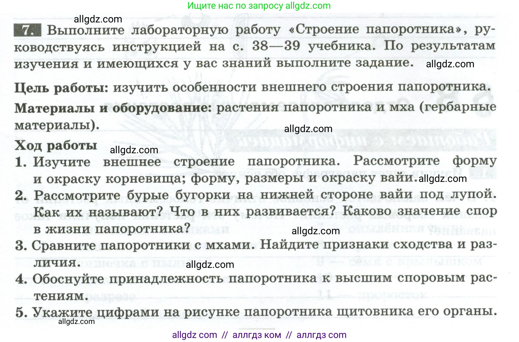 Биология, 7 класс рабочая тетрадь, авторы: Пасечник Владимир Васильевич, Суматохин Сергей Витальевич, Швецов Глеб Геннадьевич, Гапонюк Зоя Георгиевна, Косарькова Марина Викторовна, издательство Просвещение, Москва, 2023, бирюзового цвета, страница 25, номер 7, Условие