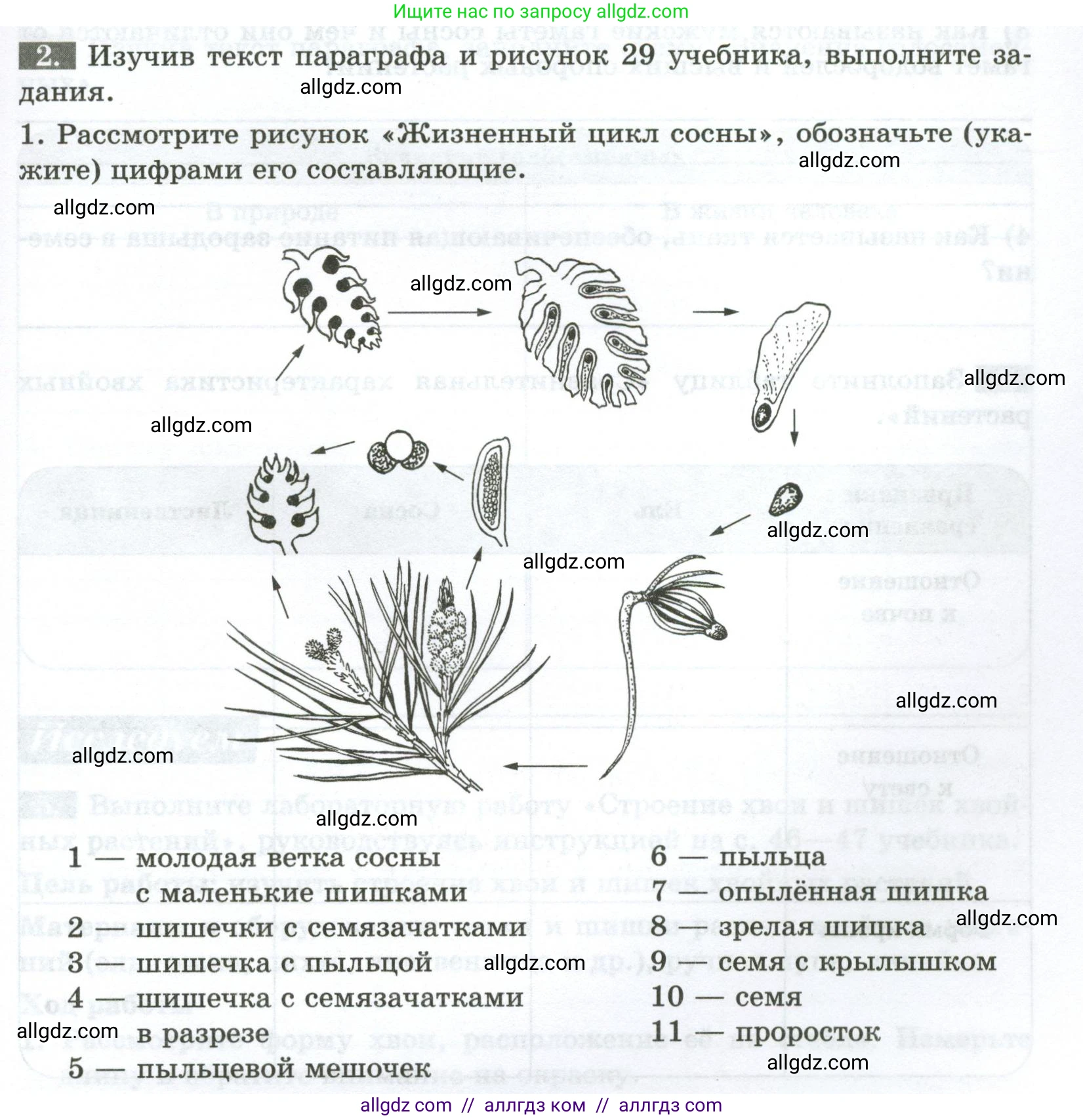 Биология, 7 класс рабочая тетрадь, авторы: Пасечник Владимир Васильевич, Суматохин Сергей Витальевич, Швецов Глеб Геннадьевич, Гапонюк Зоя Георгиевна, Косарькова Марина Викторовна, издательство Просвещение, Москва, 2023, бирюзового цвета, страница 27, номер 2, Условие
