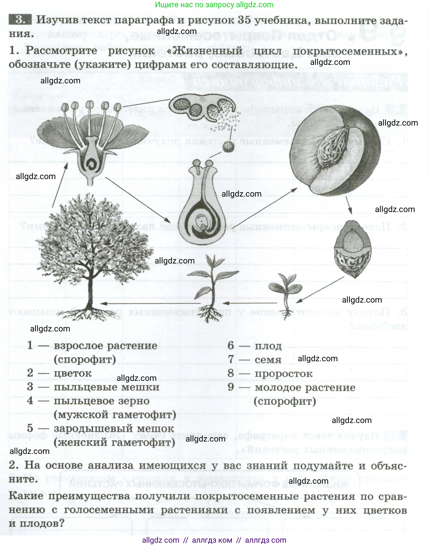 Биология, 7 класс рабочая тетрадь, авторы: Пасечник Владимир Васильевич, Суматохин Сергей Витальевич, Швецов Глеб Геннадьевич, Гапонюк Зоя Георгиевна, Косарькова Марина Викторовна, издательство Просвещение, Москва, 2023, бирюзового цвета, страница 32, номер 3, Условие