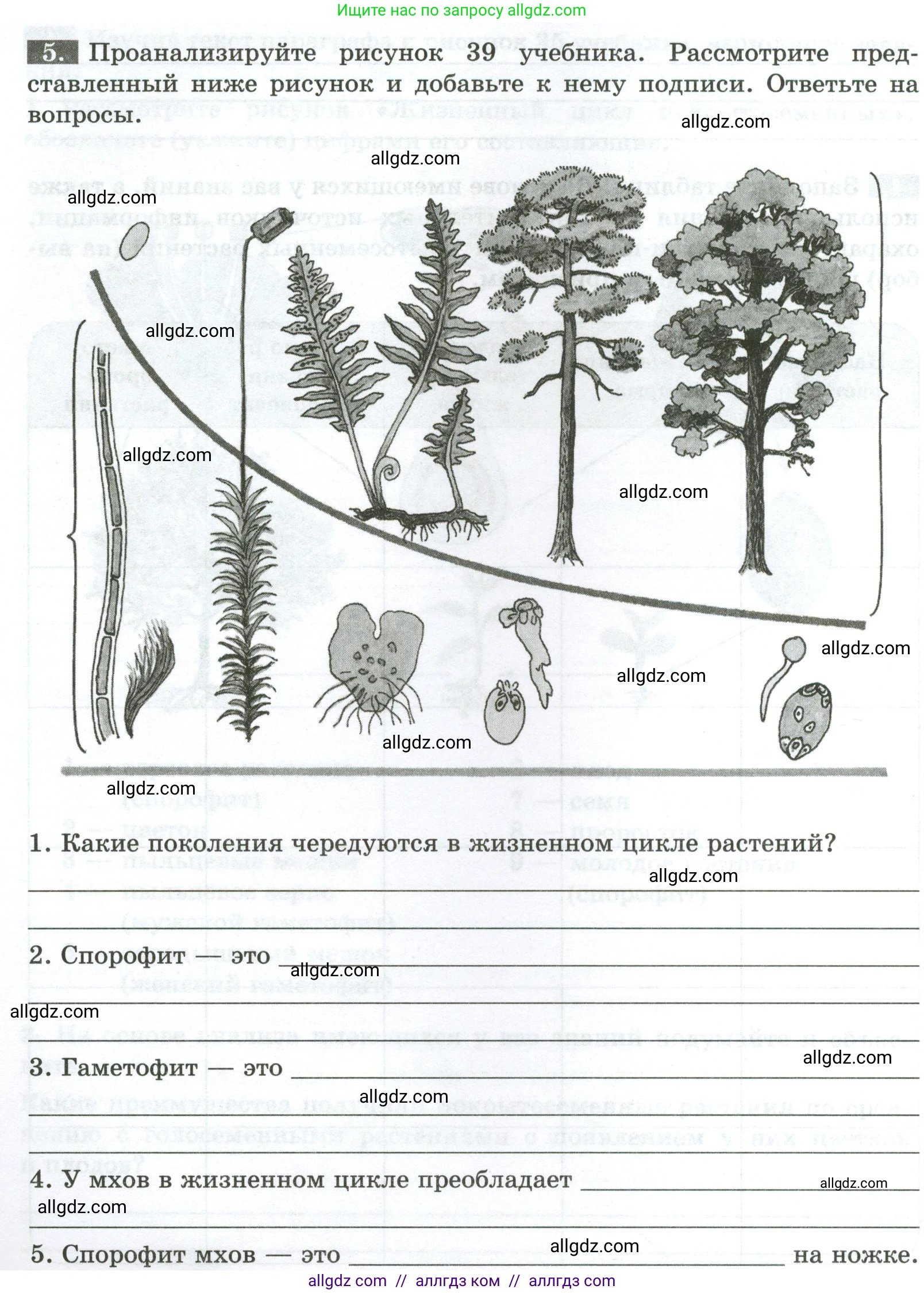 Биология, 7 класс рабочая тетрадь, авторы: Пасечник Владимир Васильевич, Суматохин Сергей Витальевич, Швецов Глеб Геннадьевич, Гапонюк Зоя Георгиевна, Косарькова Марина Викторовна, издательство Просвещение, Москва, 2023, бирюзового цвета, страница 34, номер 5, Условие