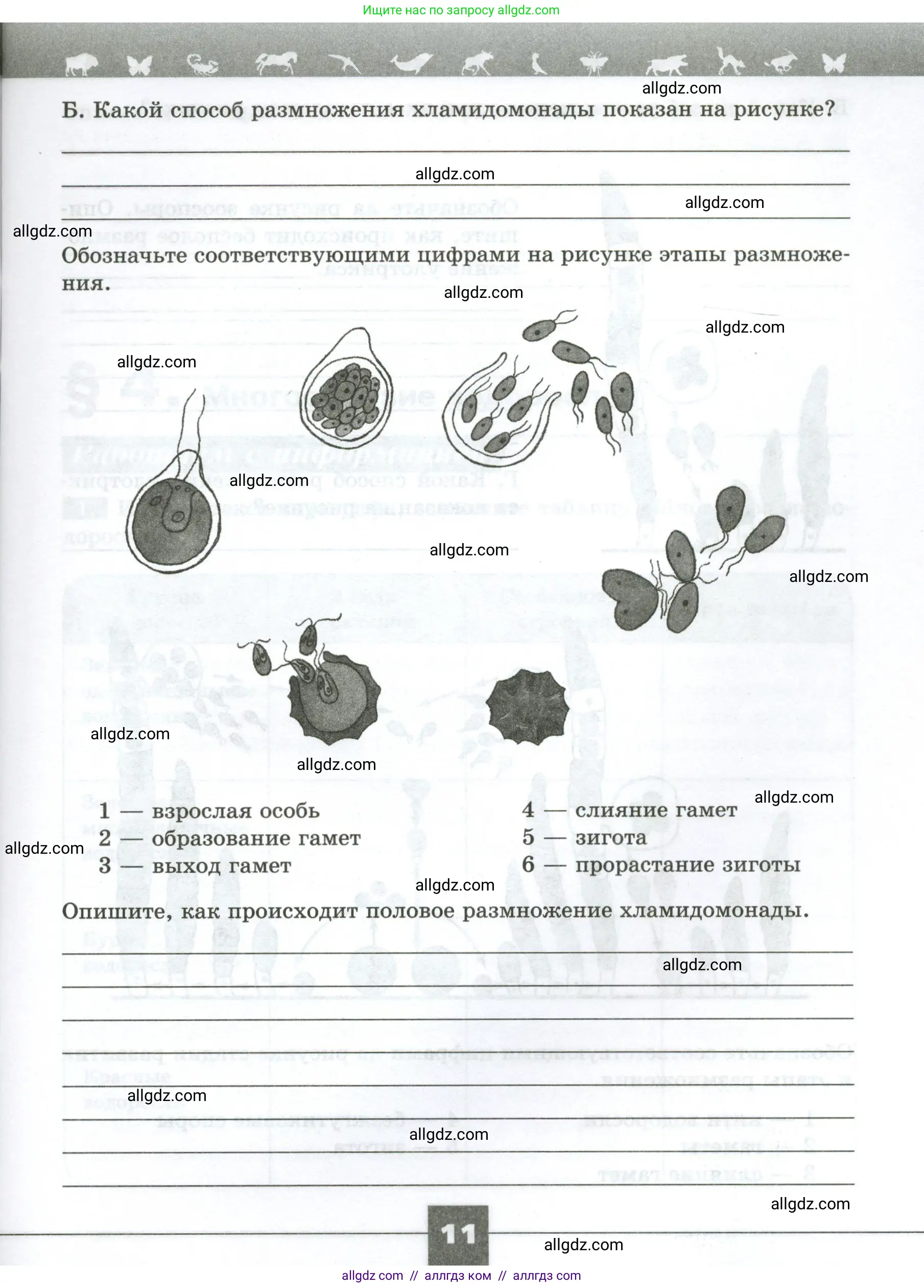 Биология, 7 класс рабочая тетрадь, авторы: Пасечник Владимир Васильевич, Суматохин Сергей Витальевич, Швецов Глеб Геннадьевич, Гапонюк Зоя Георгиевна, Косарькова Марина Викторовна, издательство Просвещение, Москва, 2023, бирюзового цвета, страница 11