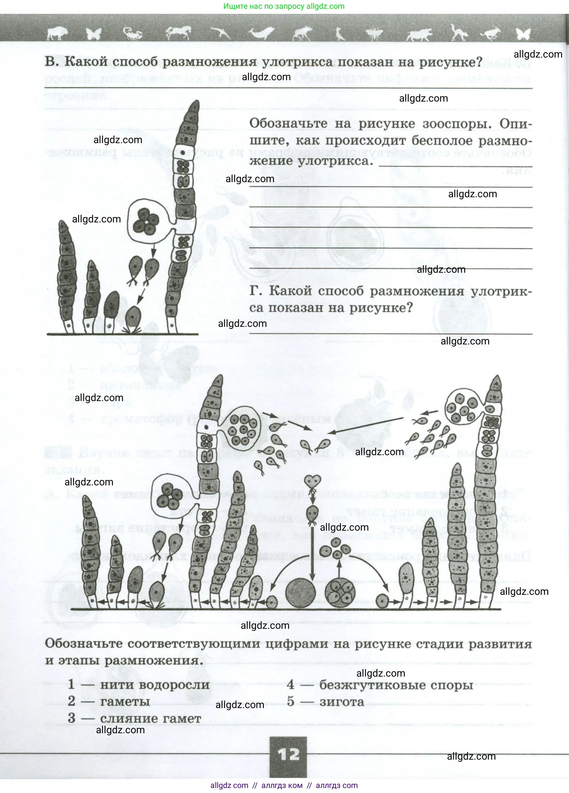 Биология, 7 класс рабочая тетрадь, авторы: Пасечник Владимир Васильевич, Суматохин Сергей Витальевич, Швецов Глеб Геннадьевич, Гапонюк Зоя Георгиевна, Косарькова Марина Викторовна, издательство Просвещение, Москва, 2023, бирюзового цвета, страница 12