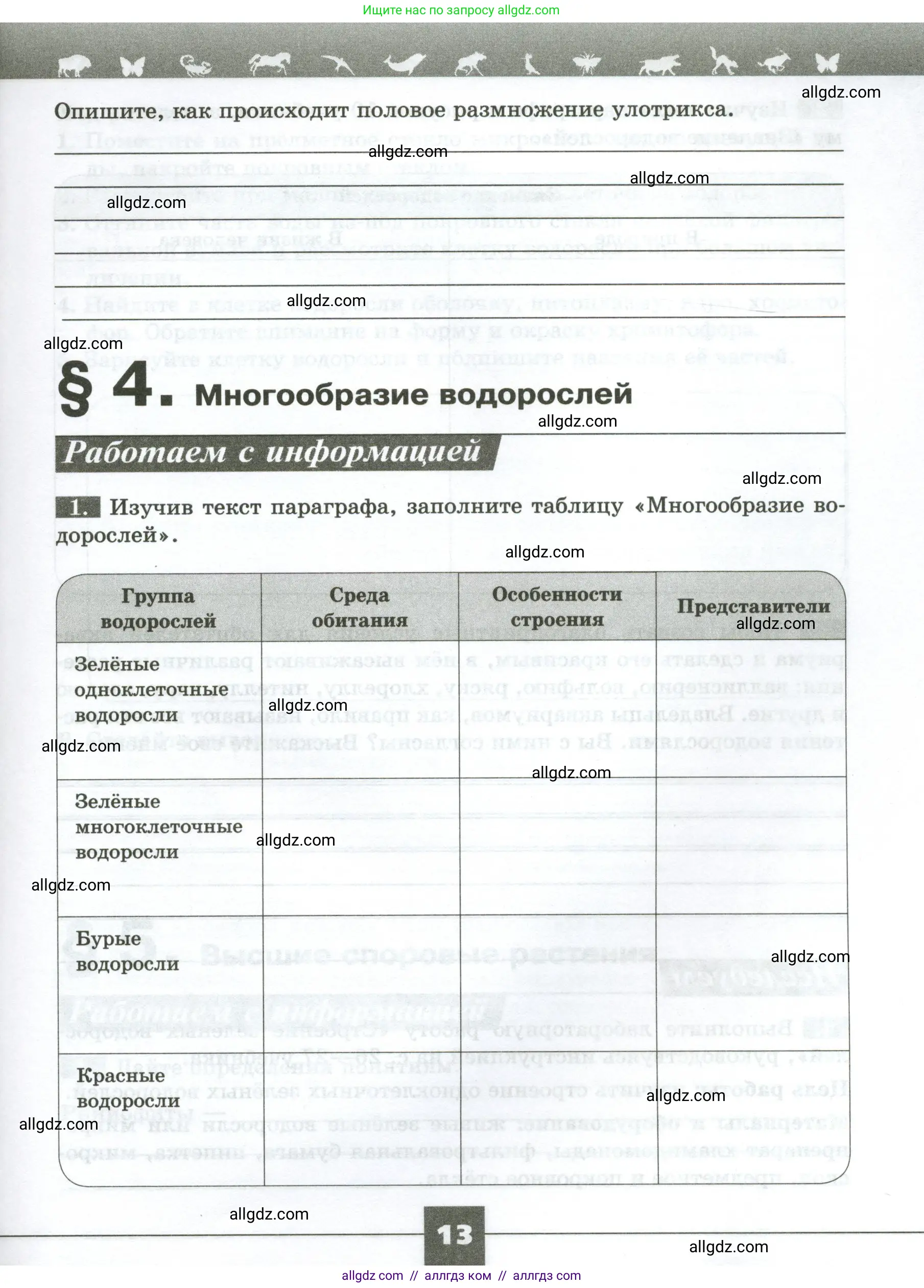 Биология, 7 класс рабочая тетрадь, авторы: Пасечник Владимир Васильевич, Суматохин Сергей Витальевич, Швецов Глеб Геннадьевич, Гапонюк Зоя Георгиевна, Косарькова Марина Викторовна, издательство Просвещение, Москва, 2023, бирюзового цвета, страница 13