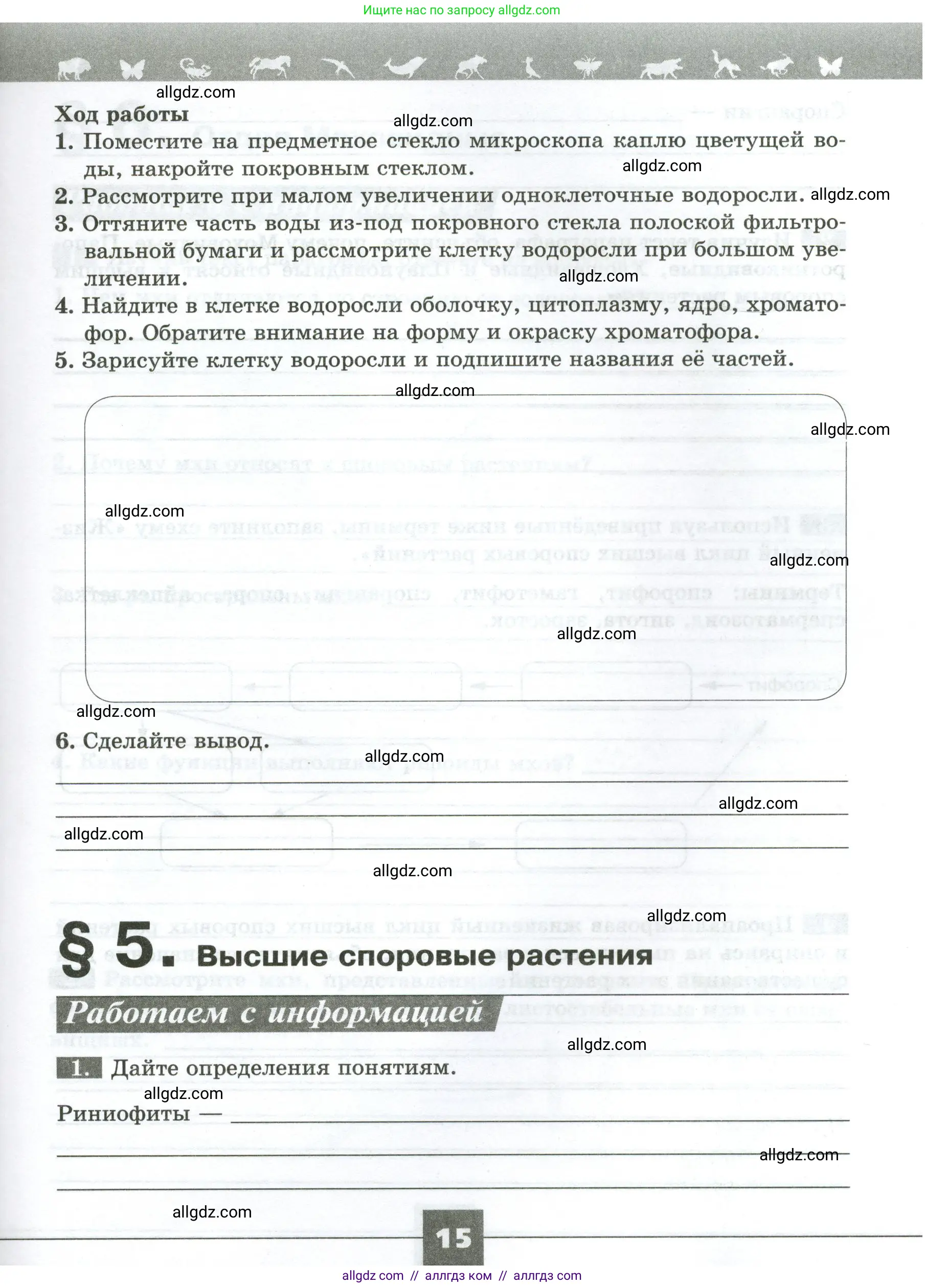 Биология, 7 класс рабочая тетрадь, авторы: Пасечник Владимир Васильевич, Суматохин Сергей Витальевич, Швецов Глеб Геннадьевич, Гапонюк Зоя Георгиевна, Косарькова Марина Викторовна, издательство Просвещение, Москва, 2023, бирюзового цвета, страница 15