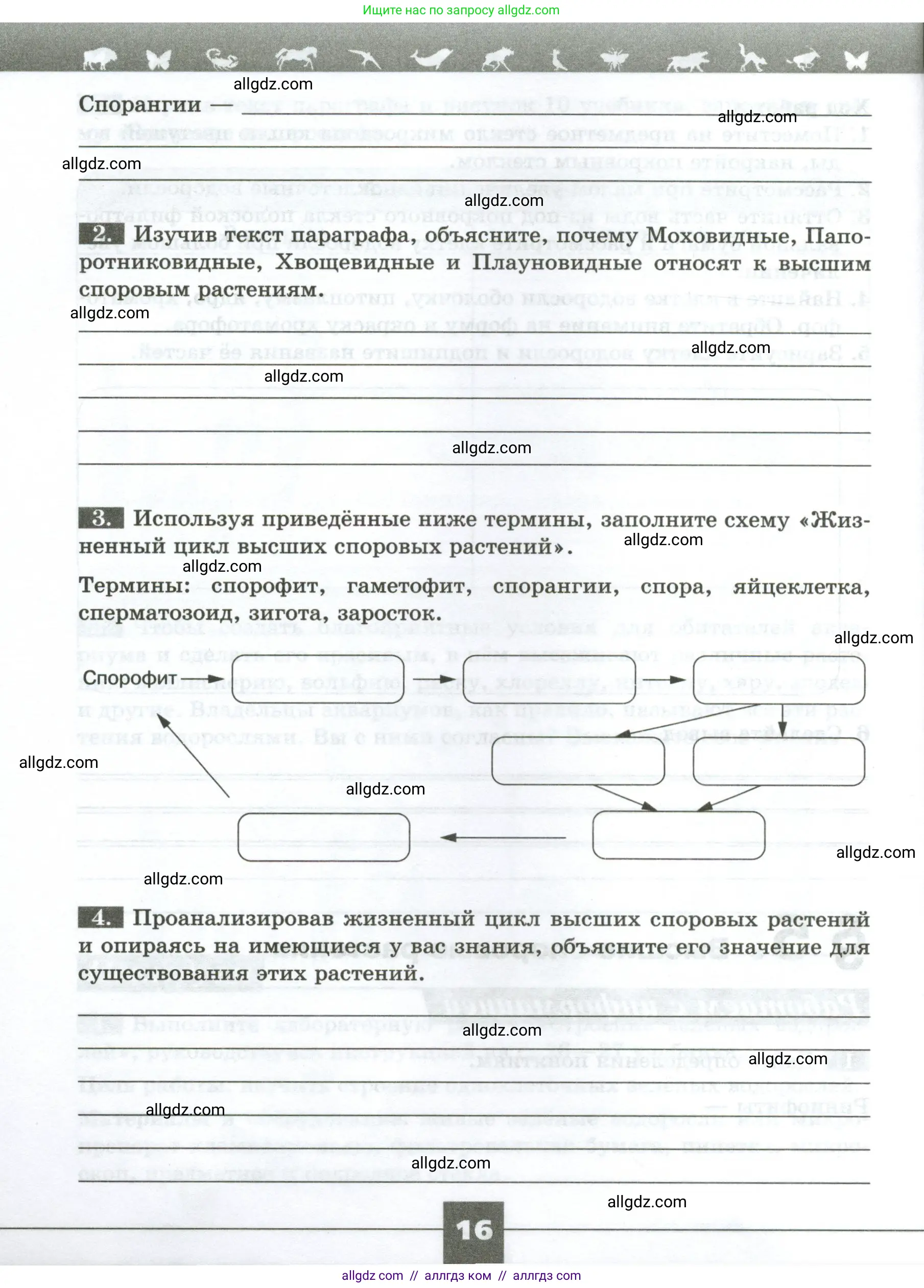 Биология, 7 класс рабочая тетрадь, авторы: Пасечник Владимир Васильевич, Суматохин Сергей Витальевич, Швецов Глеб Геннадьевич, Гапонюк Зоя Георгиевна, Косарькова Марина Викторовна, издательство Просвещение, Москва, 2023, бирюзового цвета, страница 16