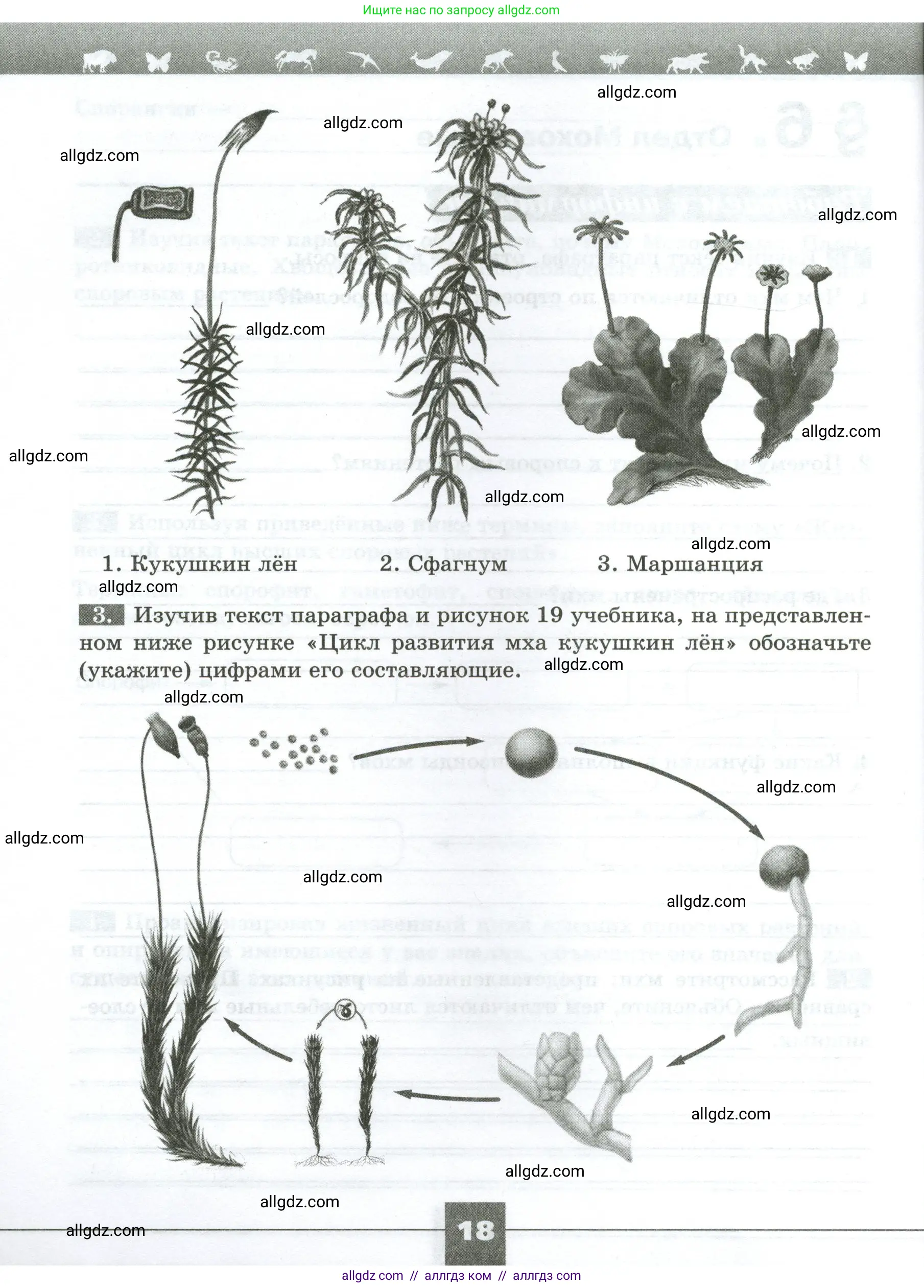 Биология, 7 класс рабочая тетрадь, авторы: Пасечник Владимир Васильевич, Суматохин Сергей Витальевич, Швецов Глеб Геннадьевич, Гапонюк Зоя Георгиевна, Косарькова Марина Викторовна, издательство Просвещение, Москва, 2023, бирюзового цвета, страница 18