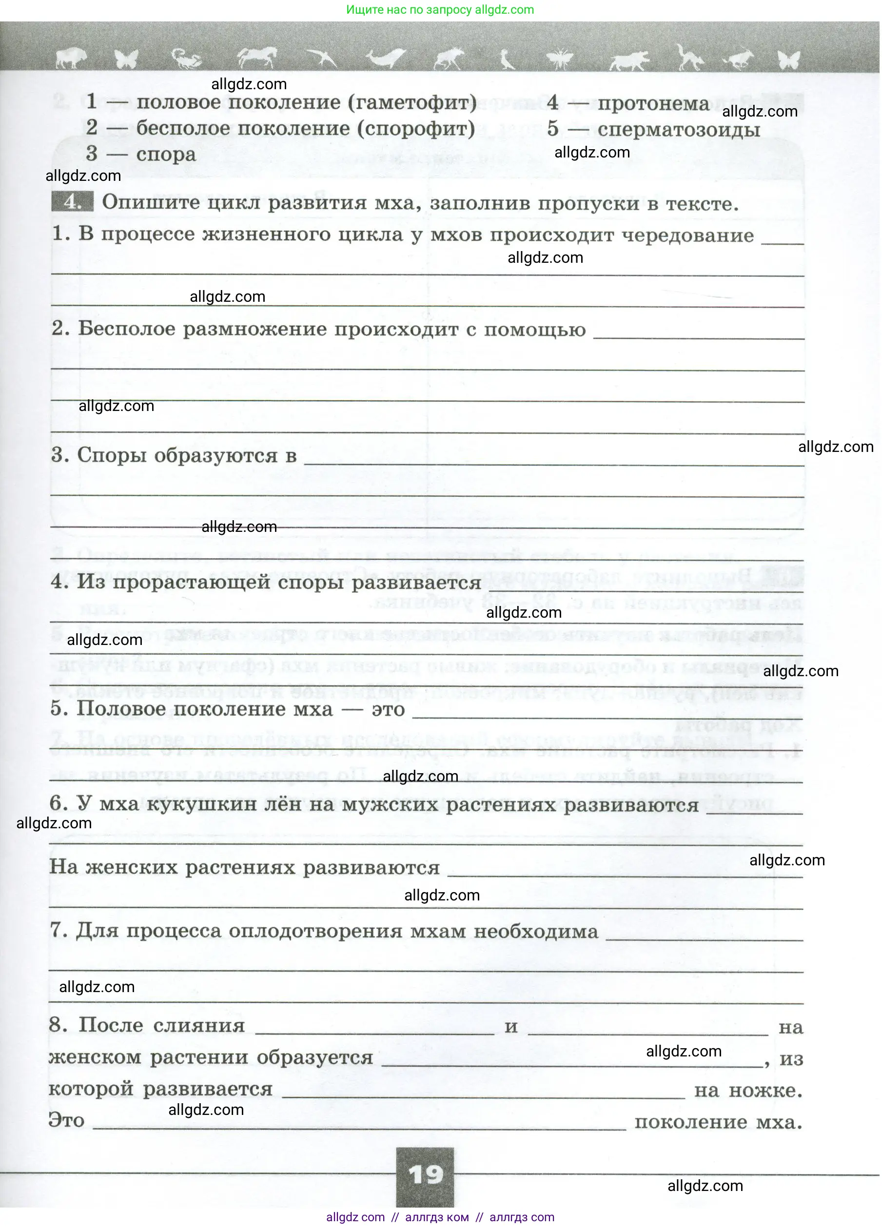 Биология, 7 класс рабочая тетрадь, авторы: Пасечник Владимир Васильевич, Суматохин Сергей Витальевич, Швецов Глеб Геннадьевич, Гапонюк Зоя Георгиевна, Косарькова Марина Викторовна, издательство Просвещение, Москва, 2023, бирюзового цвета, страница 19
