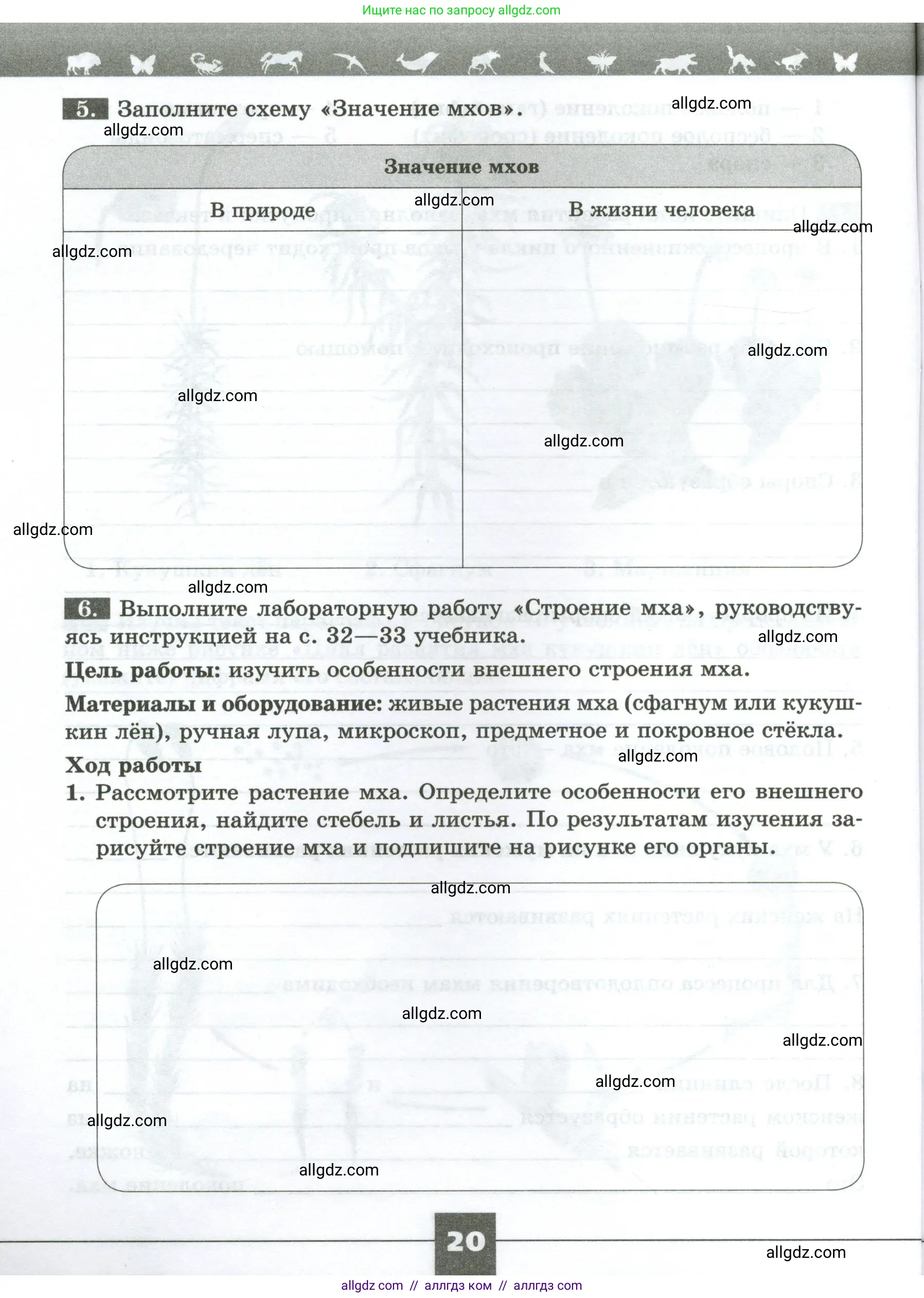 Биология, 7 класс рабочая тетрадь, авторы: Пасечник Владимир Васильевич, Суматохин Сергей Витальевич, Швецов Глеб Геннадьевич, Гапонюк Зоя Георгиевна, Косарькова Марина Викторовна, издательство Просвещение, Москва, 2023, бирюзового цвета, страница 20