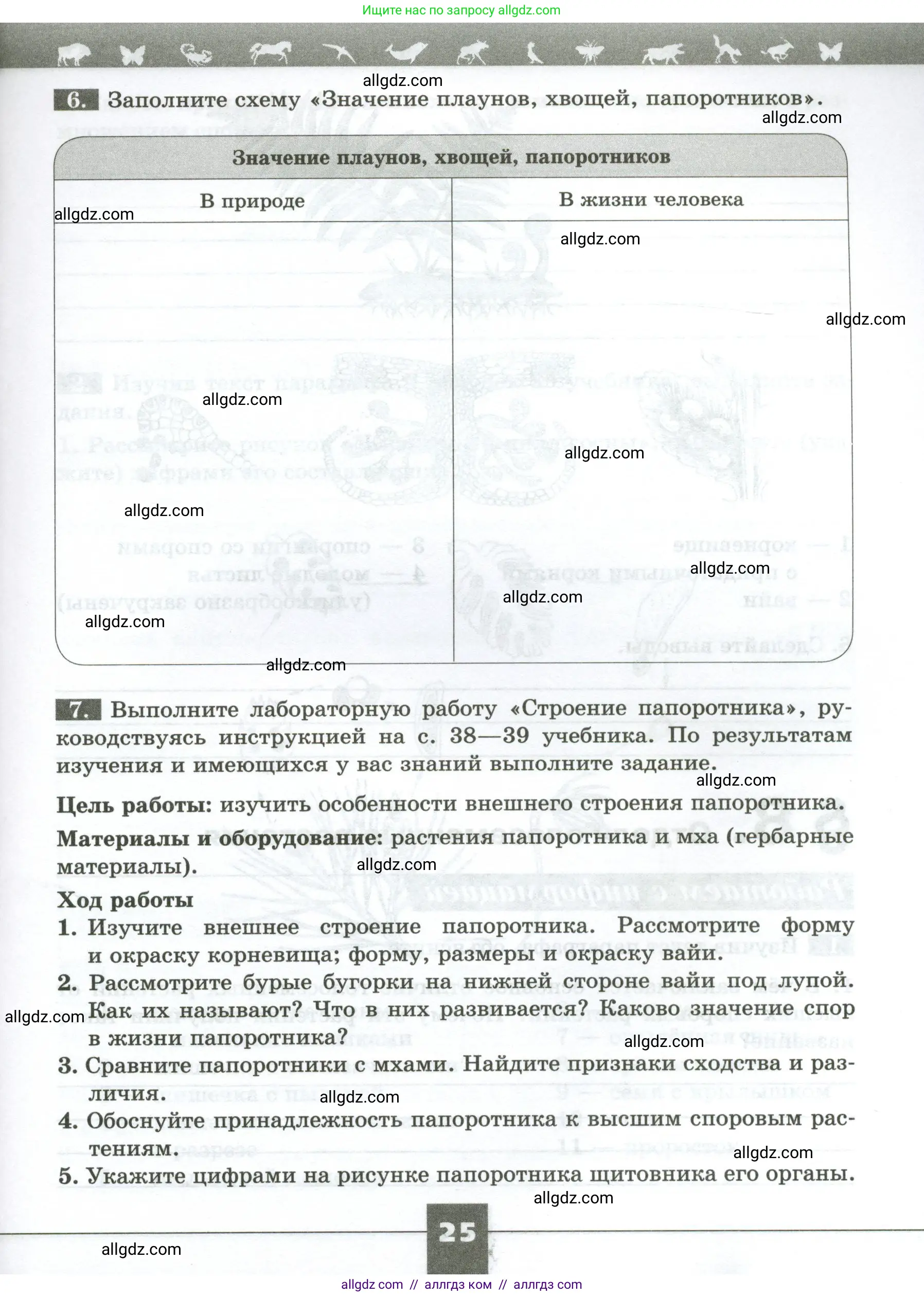 Биология, 7 класс рабочая тетрадь, авторы: Пасечник Владимир Васильевич, Суматохин Сергей Витальевич, Швецов Глеб Геннадьевич, Гапонюк Зоя Георгиевна, Косарькова Марина Викторовна, издательство Просвещение, Москва, 2023, бирюзового цвета, страница 25