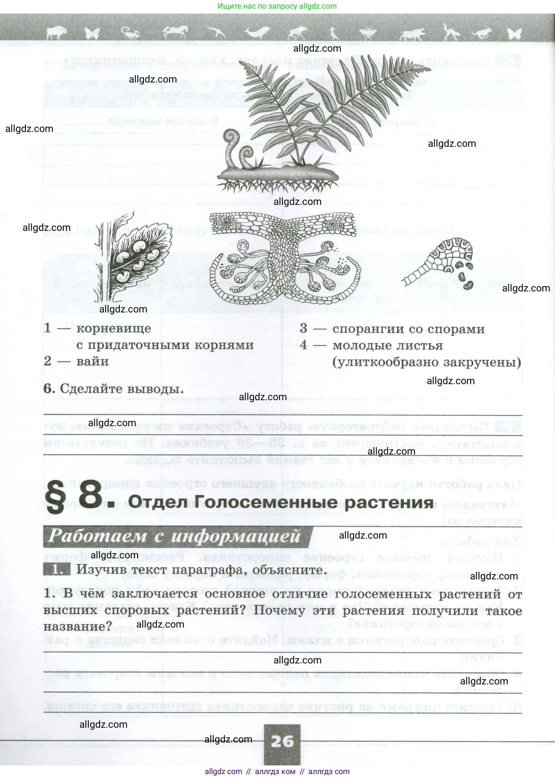 Биология, 7 класс рабочая тетрадь, авторы: Пасечник Владимир Васильевич, Суматохин Сергей Витальевич, Швецов Глеб Геннадьевич, Гапонюк Зоя Георгиевна, Косарькова Марина Викторовна, издательство Просвещение, Москва, 2023, бирюзового цвета, страница 26