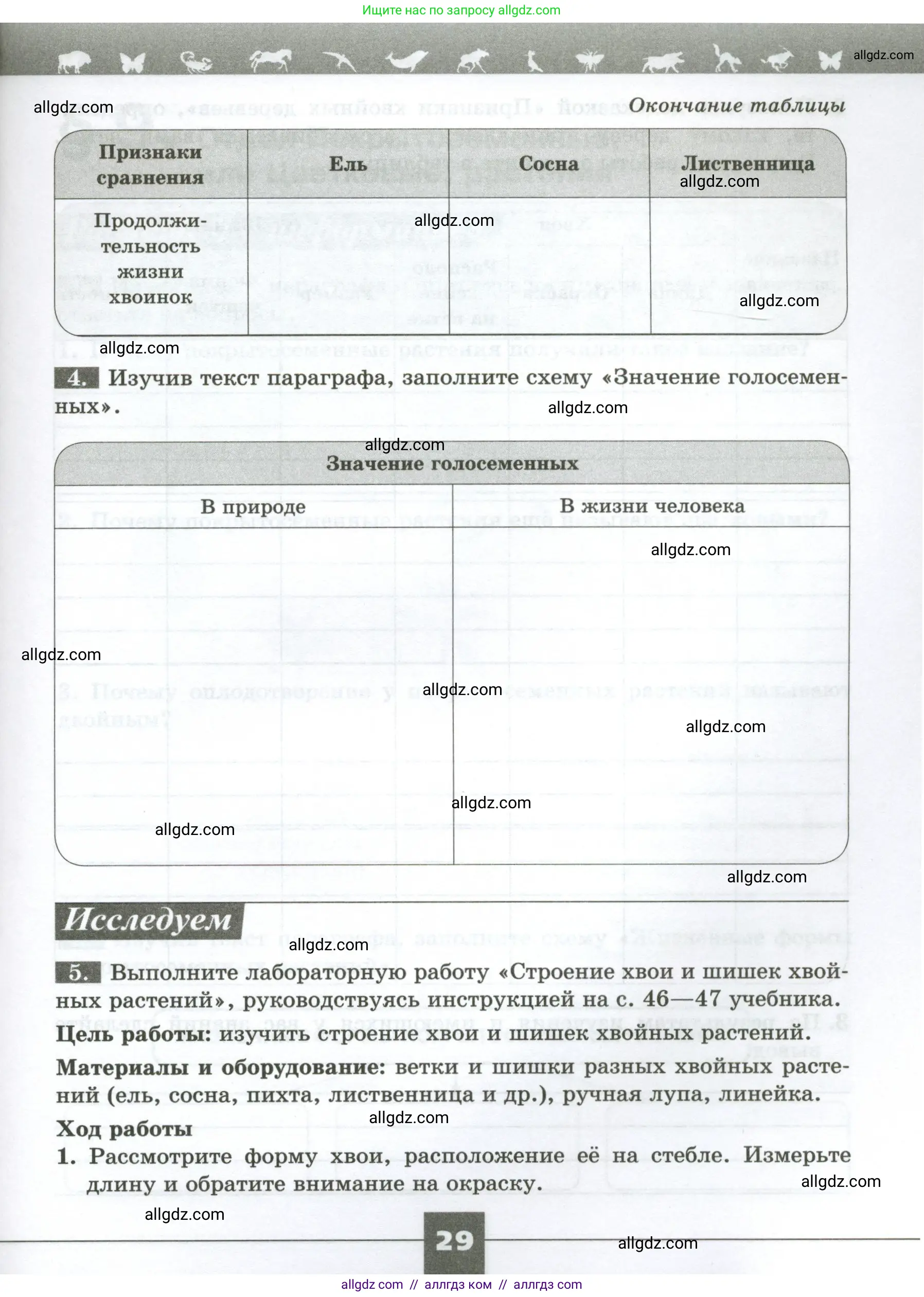 Биология, 7 класс рабочая тетрадь, авторы: Пасечник Владимир Васильевич, Суматохин Сергей Витальевич, Швецов Глеб Геннадьевич, Гапонюк Зоя Георгиевна, Косарькова Марина Викторовна, издательство Просвещение, Москва, 2023, бирюзового цвета, страница 29