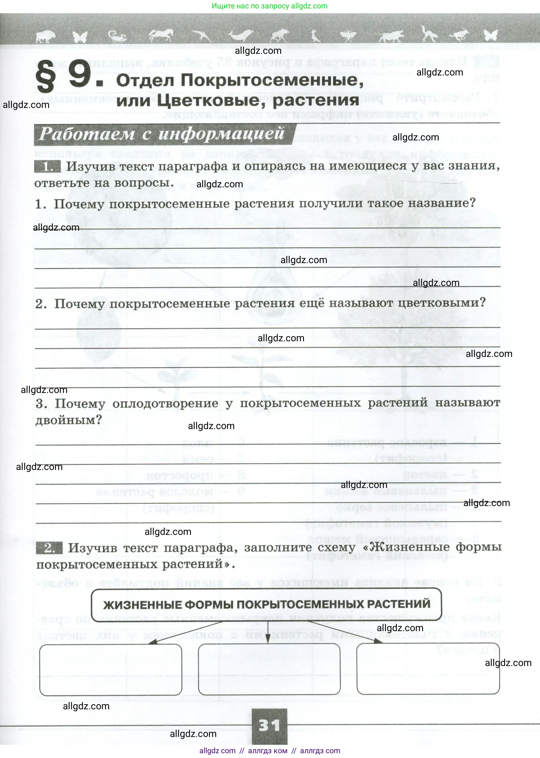 Биология, 7 класс рабочая тетрадь, авторы: Пасечник Владимир Васильевич, Суматохин Сергей Витальевич, Швецов Глеб Геннадьевич, Гапонюк Зоя Георгиевна, Косарькова Марина Викторовна, издательство Просвещение, Москва, 2023, бирюзового цвета, страница 31
