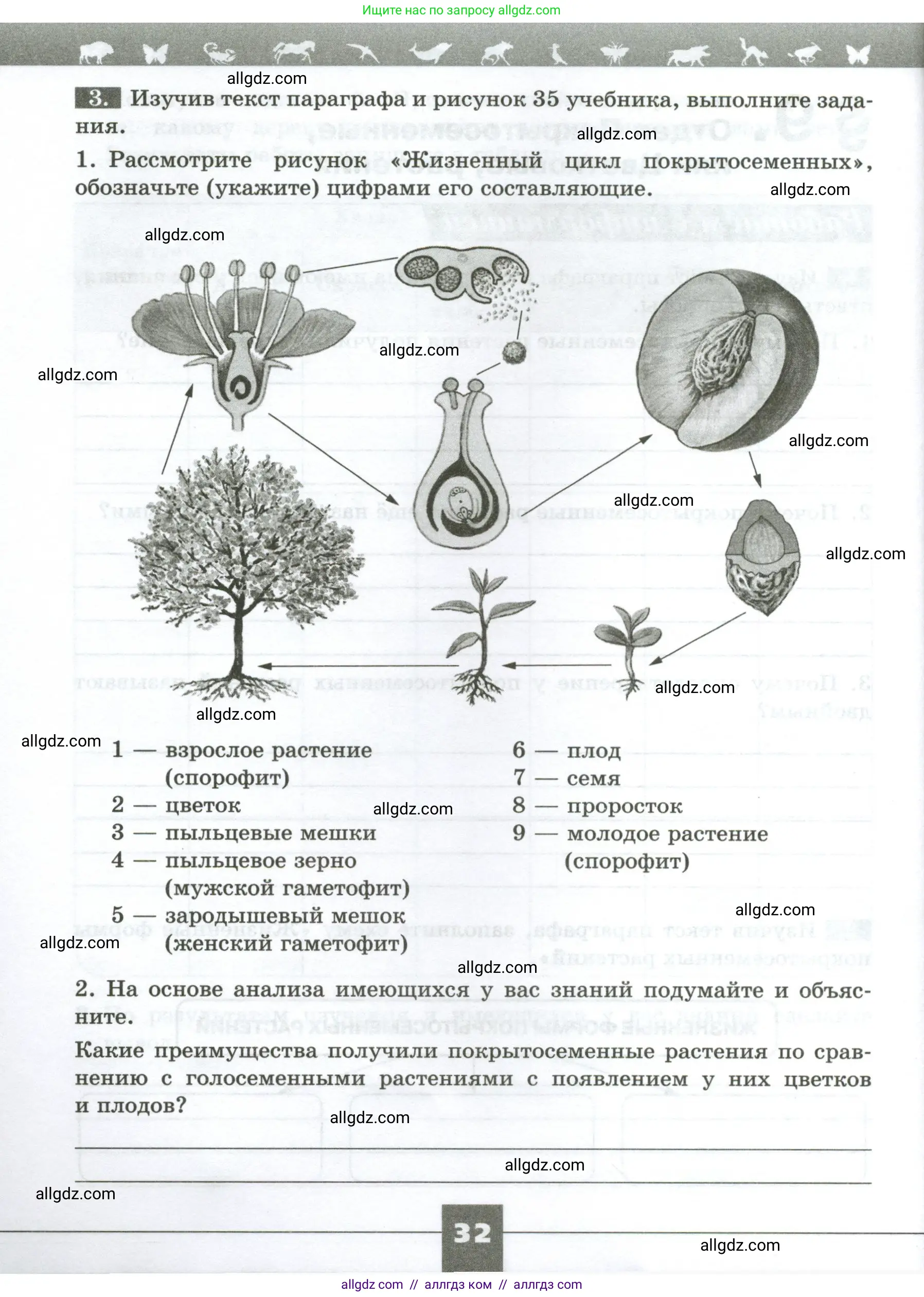 Биология, 7 класс рабочая тетрадь, авторы: Пасечник Владимир Васильевич, Суматохин Сергей Витальевич, Швецов Глеб Геннадьевич, Гапонюк Зоя Георгиевна, Косарькова Марина Викторовна, издательство Просвещение, Москва, 2023, бирюзового цвета, страница 32