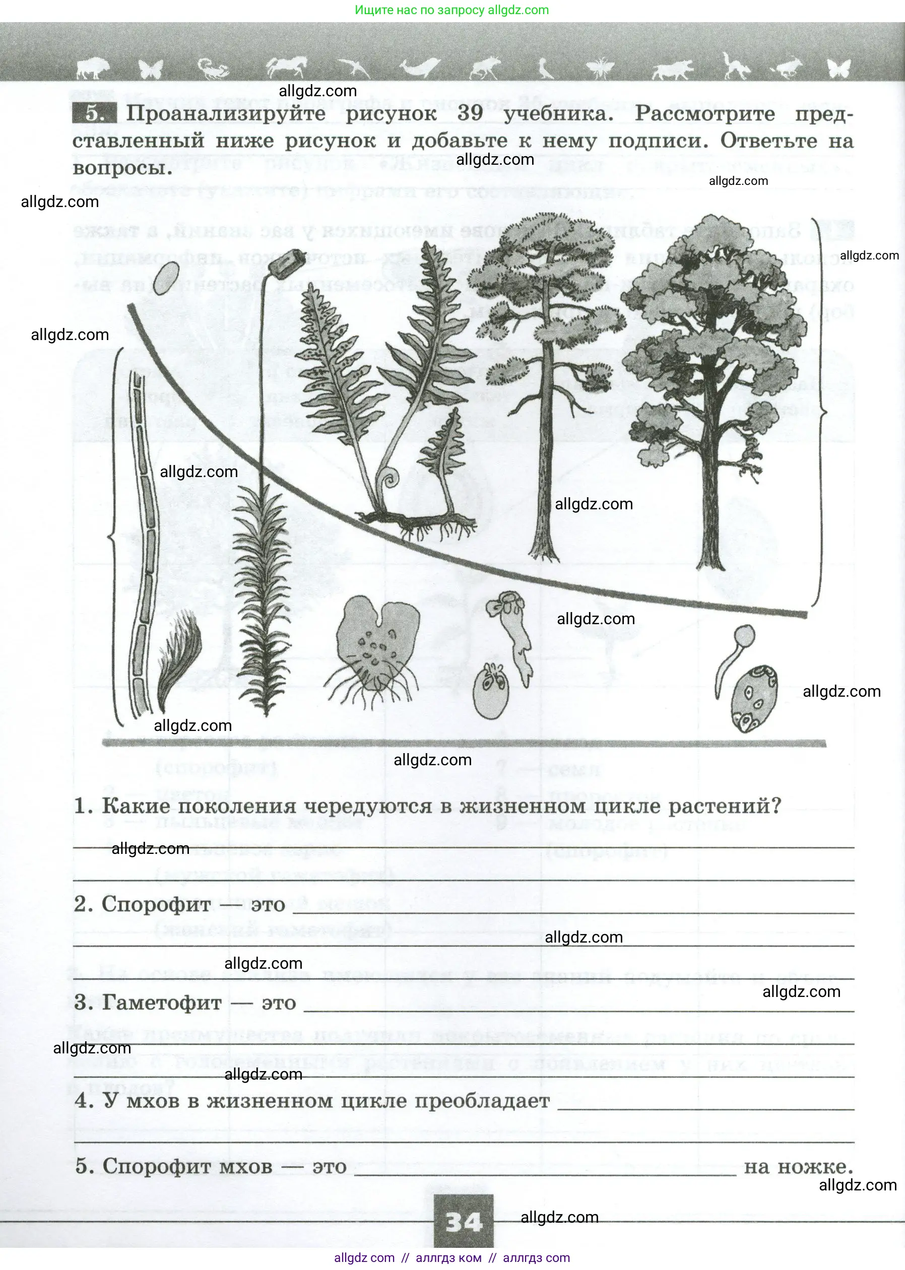 Биология, 7 класс рабочая тетрадь, авторы: Пасечник Владимир Васильевич, Суматохин Сергей Витальевич, Швецов Глеб Геннадьевич, Гапонюк Зоя Георгиевна, Косарькова Марина Викторовна, издательство Просвещение, Москва, 2023, бирюзового цвета, страница 34