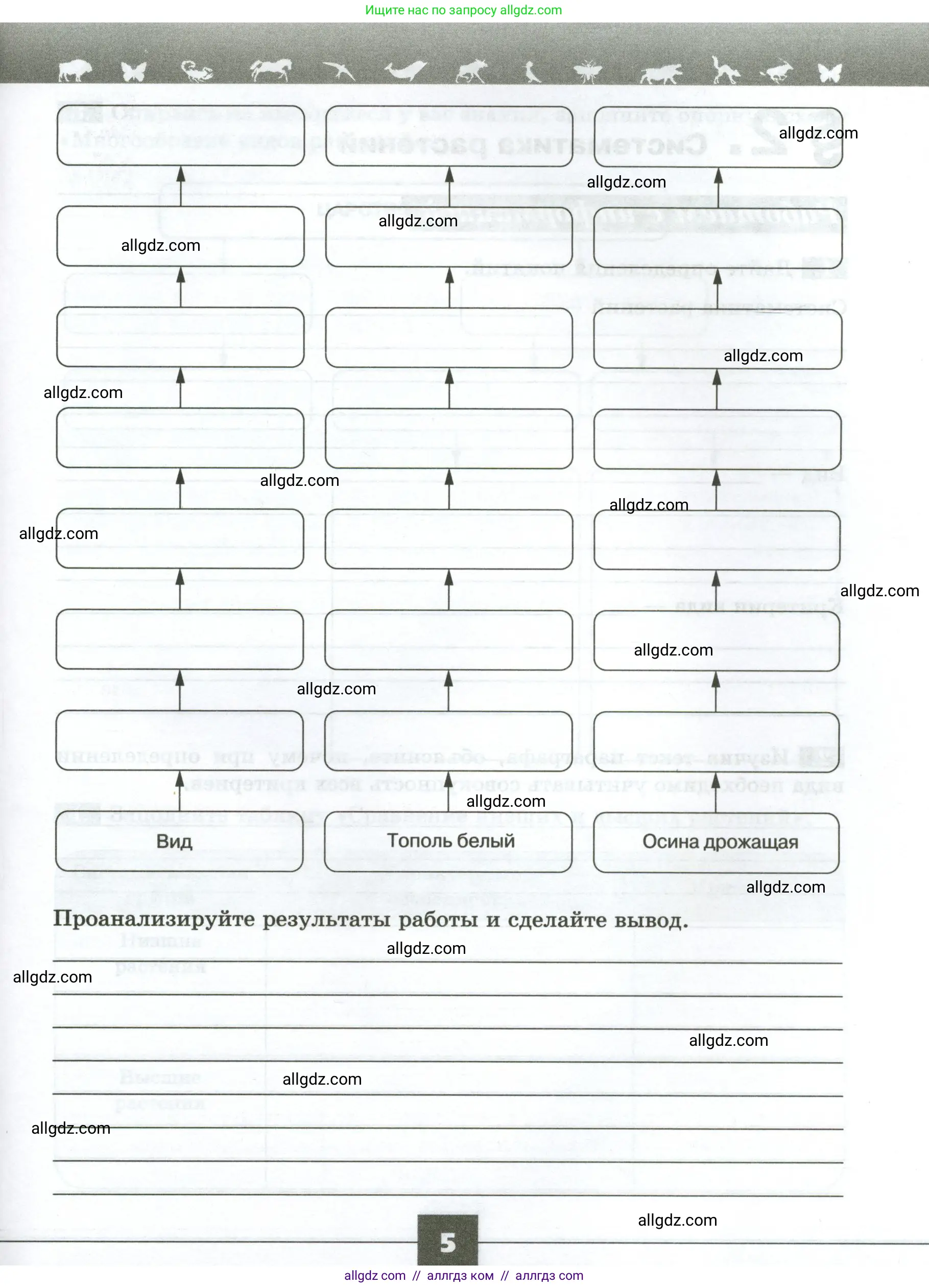 Биология, 7 класс рабочая тетрадь, авторы: Пасечник Владимир Васильевич, Суматохин Сергей Витальевич, Швецов Глеб Геннадьевич, Гапонюк Зоя Георгиевна, Косарькова Марина Викторовна, издательство Просвещение, Москва, 2023, бирюзового цвета, страница 5
