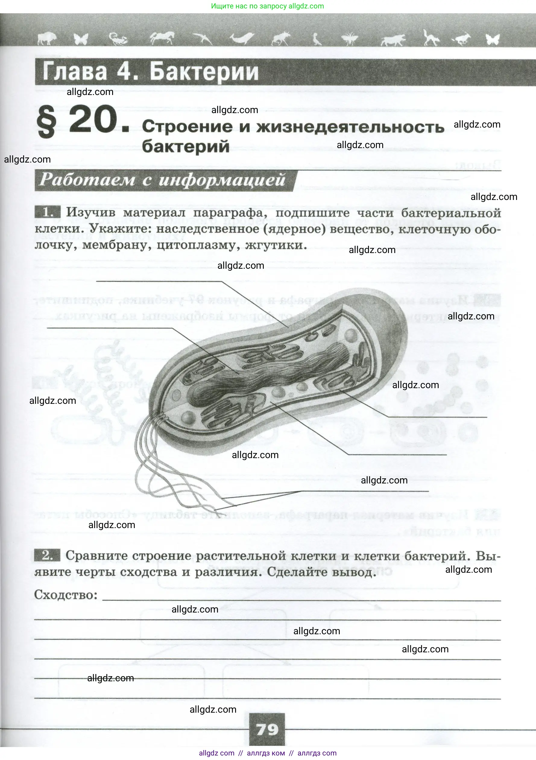 Биология, 7 класс рабочая тетрадь, авторы: Пасечник Владимир Васильевич, Суматохин Сергей Витальевич, Швецов Глеб Геннадьевич, Гапонюк Зоя Георгиевна, Косарькова Марина Викторовна, издательство Просвещение, Москва, 2023, бирюзового цвета, страница 79