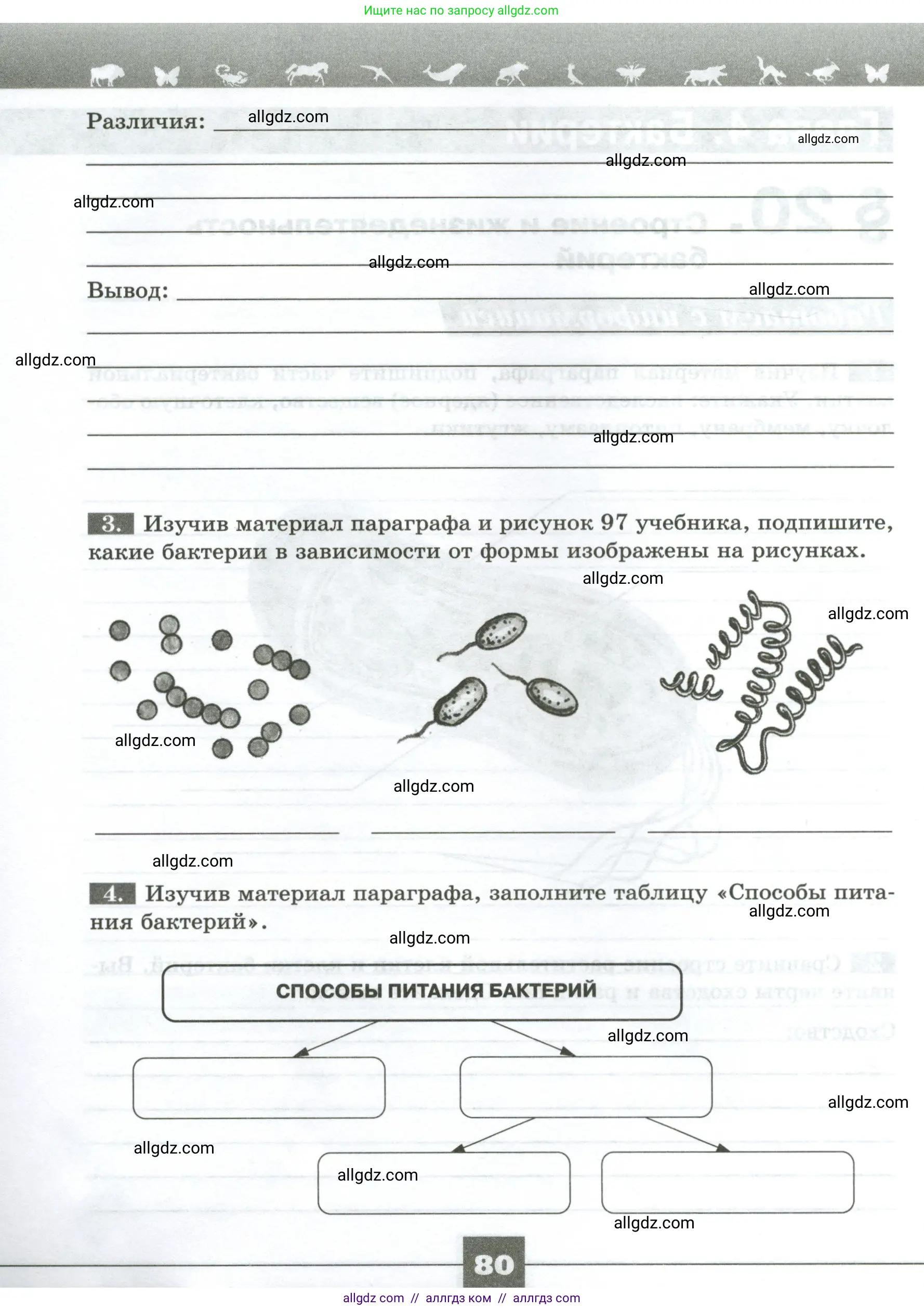 Биология, 7 класс рабочая тетрадь, авторы: Пасечник Владимир Васильевич, Суматохин Сергей Витальевич, Швецов Глеб Геннадьевич, Гапонюк Зоя Георгиевна, Косарькова Марина Викторовна, издательство Просвещение, Москва, 2023, бирюзового цвета, страница 80