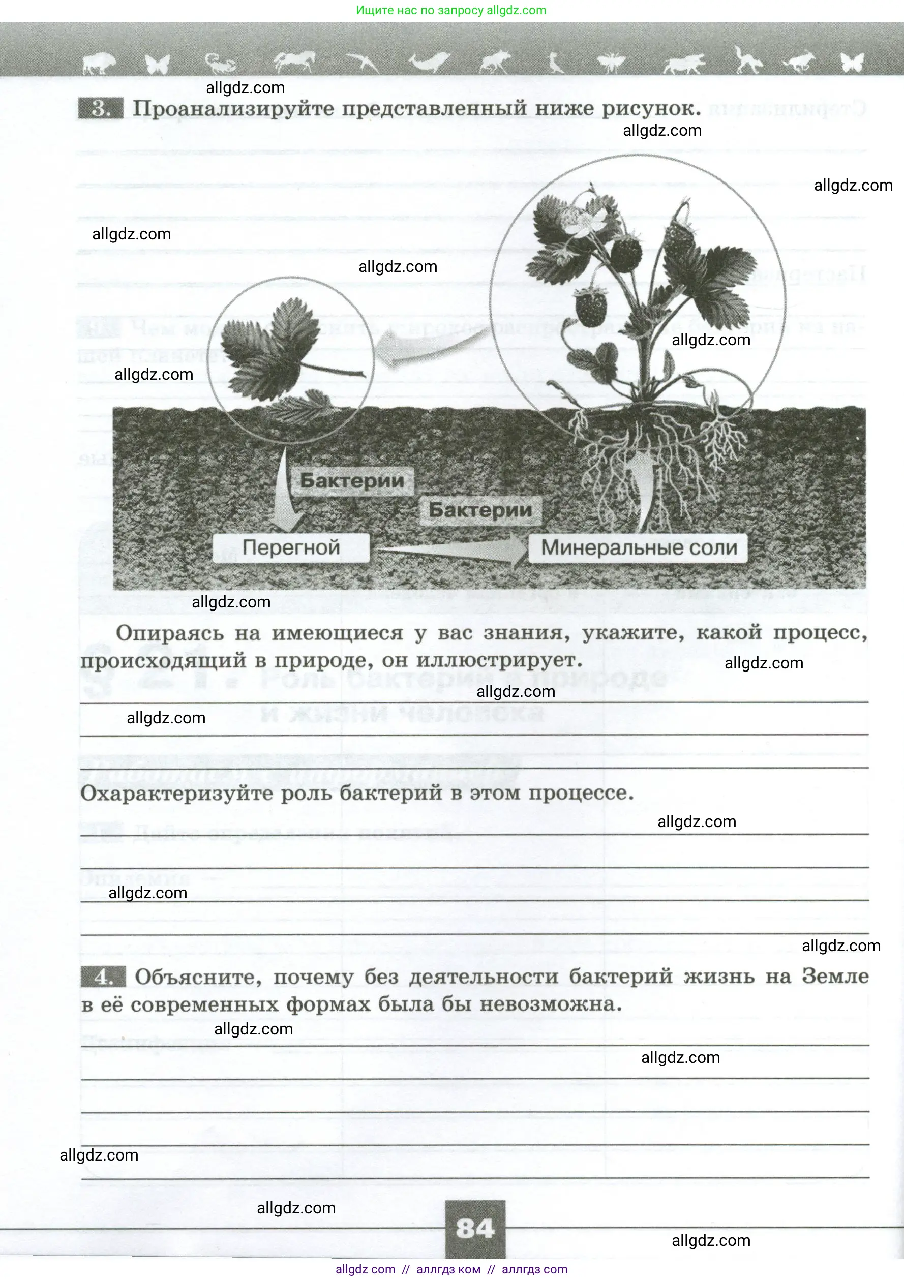 Биология, 7 класс рабочая тетрадь, авторы: Пасечник Владимир Васильевич, Суматохин Сергей Витальевич, Швецов Глеб Геннадьевич, Гапонюк Зоя Георгиевна, Косарькова Марина Викторовна, издательство Просвещение, Москва, 2023, бирюзового цвета, страница 84
