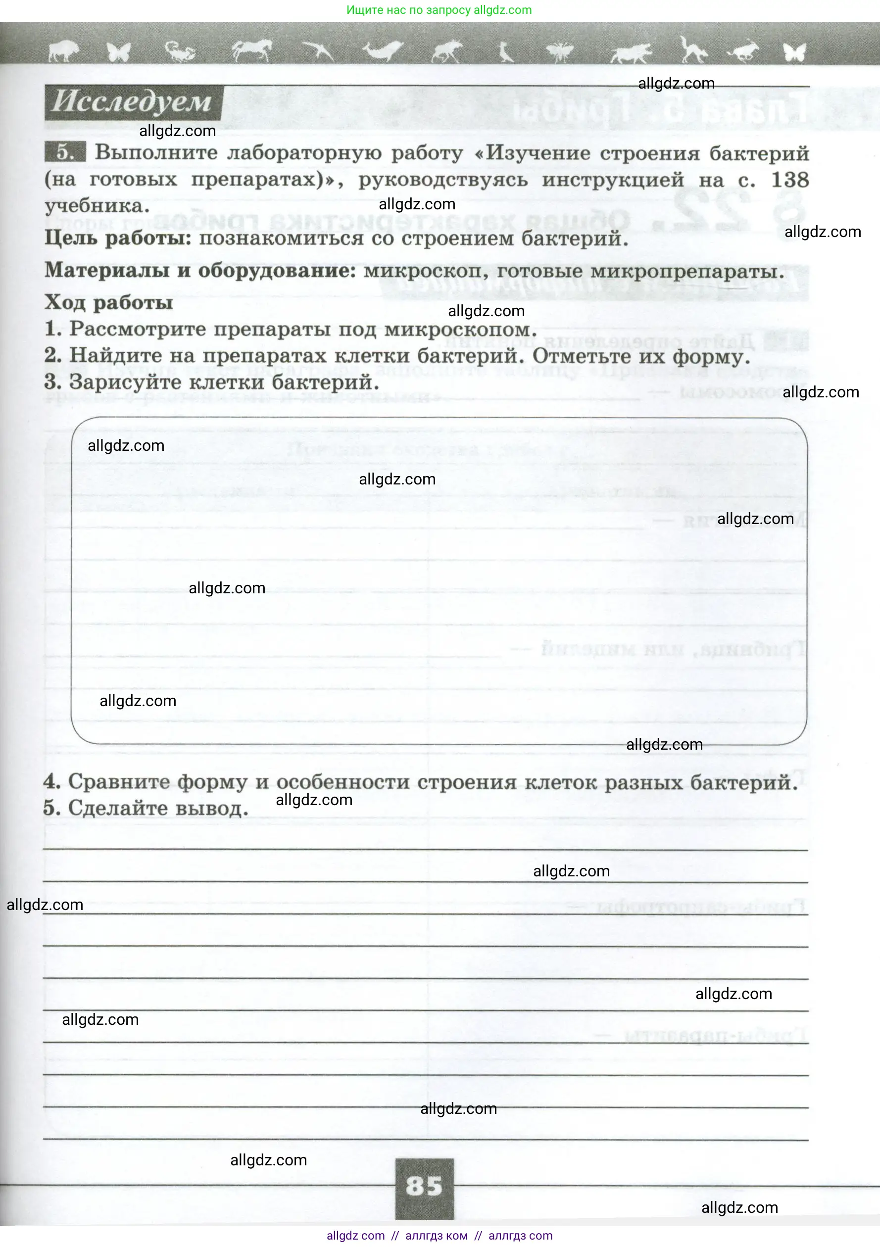 Биология, 7 класс рабочая тетрадь, авторы: Пасечник Владимир Васильевич, Суматохин Сергей Витальевич, Швецов Глеб Геннадьевич, Гапонюк Зоя Георгиевна, Косарькова Марина Викторовна, издательство Просвещение, Москва, 2023, бирюзового цвета, страница 85