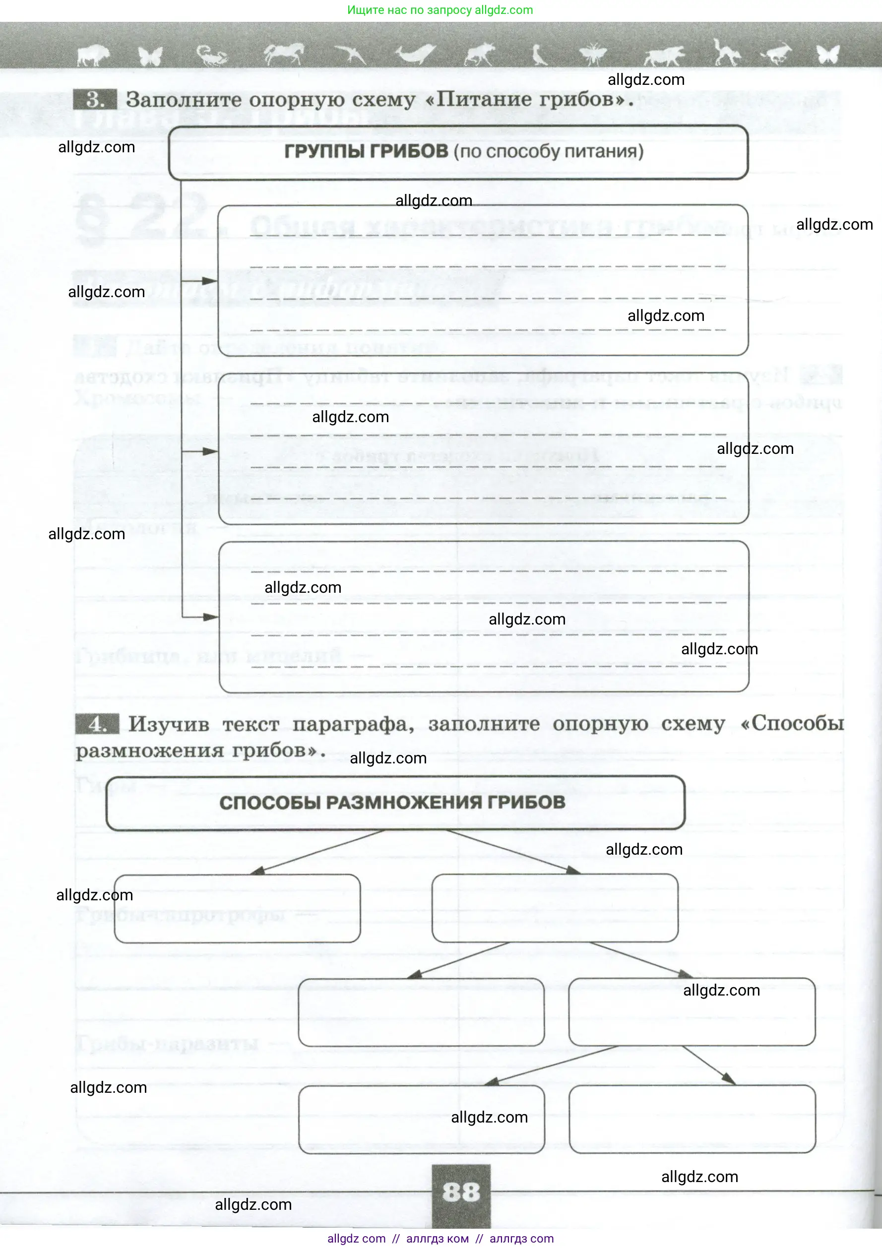 Биология, 7 класс рабочая тетрадь, авторы: Пасечник Владимир Васильевич, Суматохин Сергей Витальевич, Швецов Глеб Геннадьевич, Гапонюк Зоя Георгиевна, Косарькова Марина Викторовна, издательство Просвещение, Москва, 2023, бирюзового цвета, страница 88