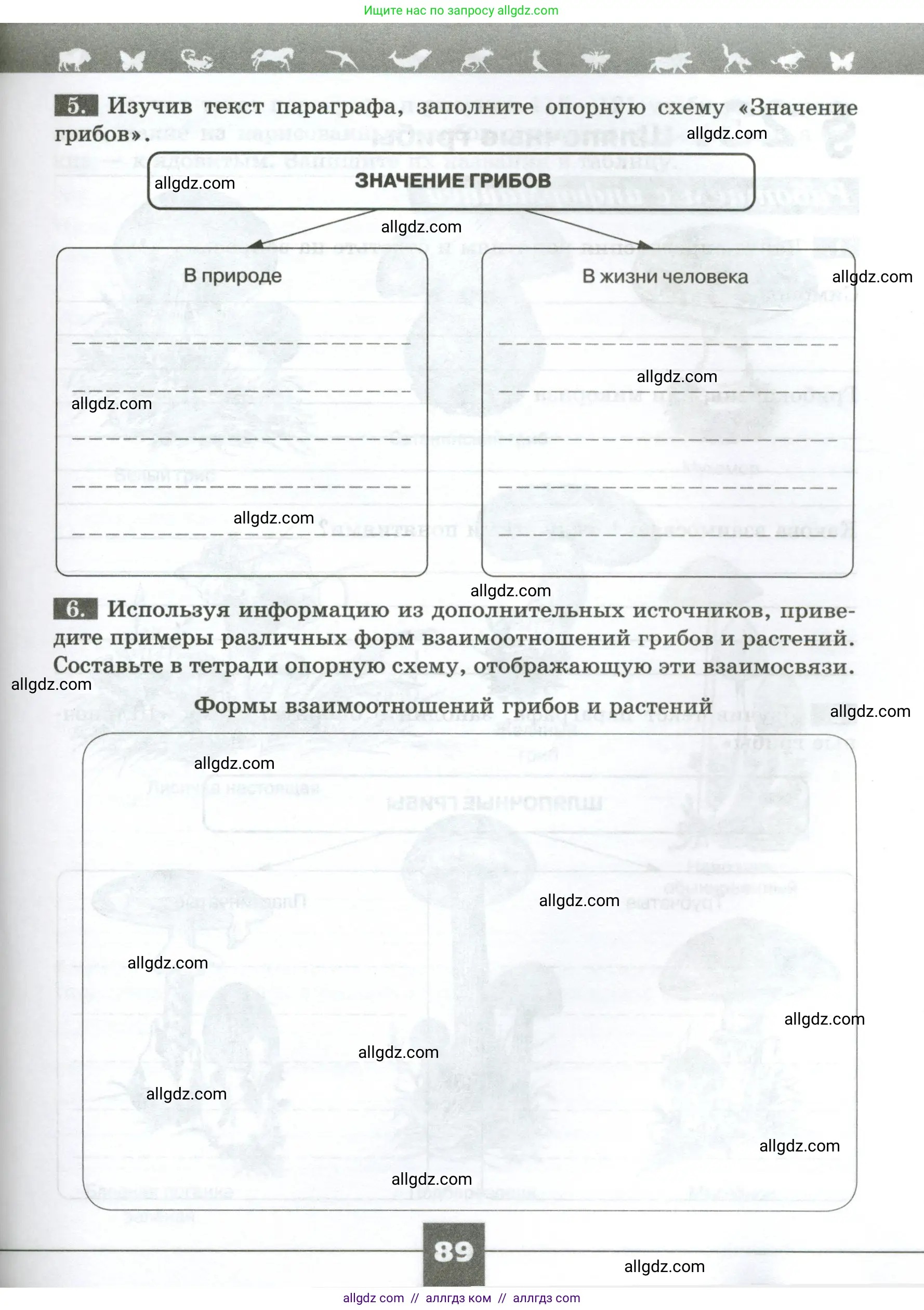 Биология, 7 класс рабочая тетрадь, авторы: Пасечник Владимир Васильевич, Суматохин Сергей Витальевич, Швецов Глеб Геннадьевич, Гапонюк Зоя Георгиевна, Косарькова Марина Викторовна, издательство Просвещение, Москва, 2023, бирюзового цвета, страница 89