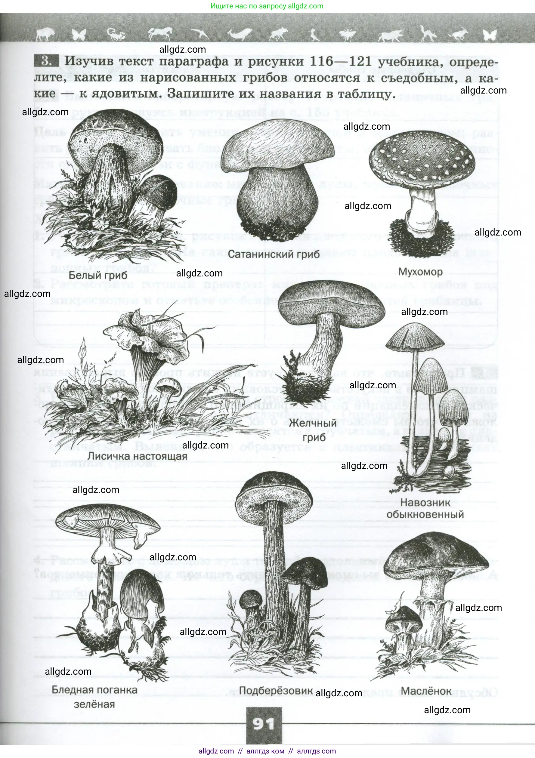 Биология, 7 класс рабочая тетрадь, авторы: Пасечник Владимир Васильевич, Суматохин Сергей Витальевич, Швецов Глеб Геннадьевич, Гапонюк Зоя Георгиевна, Косарькова Марина Викторовна, издательство Просвещение, Москва, 2023, бирюзового цвета, страница 91
