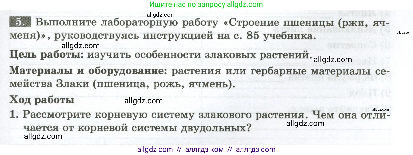 Биология, 7 класс рабочая тетрадь, авторы: Пасечник Владимир Васильевич, Суматохин Сергей Витальевич, Швецов Глеб Геннадьевич, Гапонюк Зоя Георгиевна, Косарькова Марина Викторовна, издательство Просвещение, Москва, 2023, бирюзового цвета, страница 53, номер 5, Условие