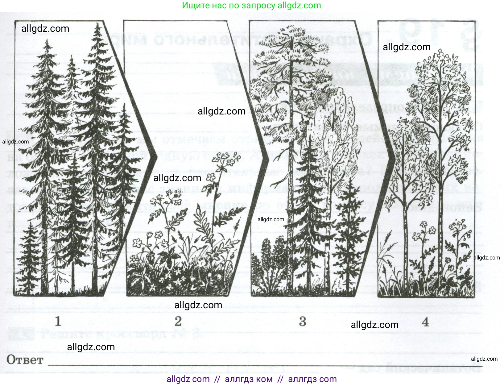 Биология, 7 класс рабочая тетрадь, авторы: Пасечник Владимир Васильевич, Суматохин Сергей Витальевич, Швецов Глеб Геннадьевич, Гапонюк Зоя Георгиевна, Косарькова Марина Викторовна, издательство Просвещение, Москва, 2023, бирюзового цвета, страница 70, номер 4, Условие (продолжение 2)