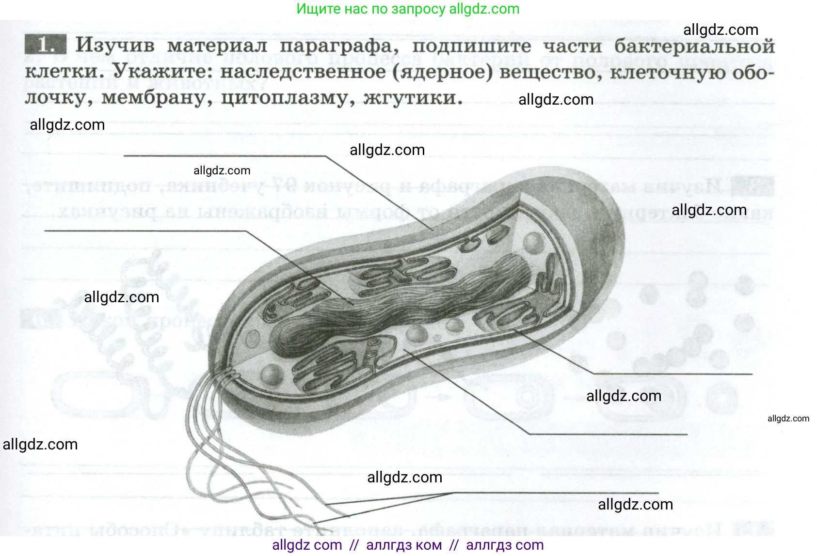 Биология, 7 класс рабочая тетрадь, авторы: Пасечник Владимир Васильевич, Суматохин Сергей Витальевич, Швецов Глеб Геннадьевич, Гапонюк Зоя Георгиевна, Косарькова Марина Викторовна, издательство Просвещение, Москва, 2023, бирюзового цвета, страница 79, номер 1, Условие
